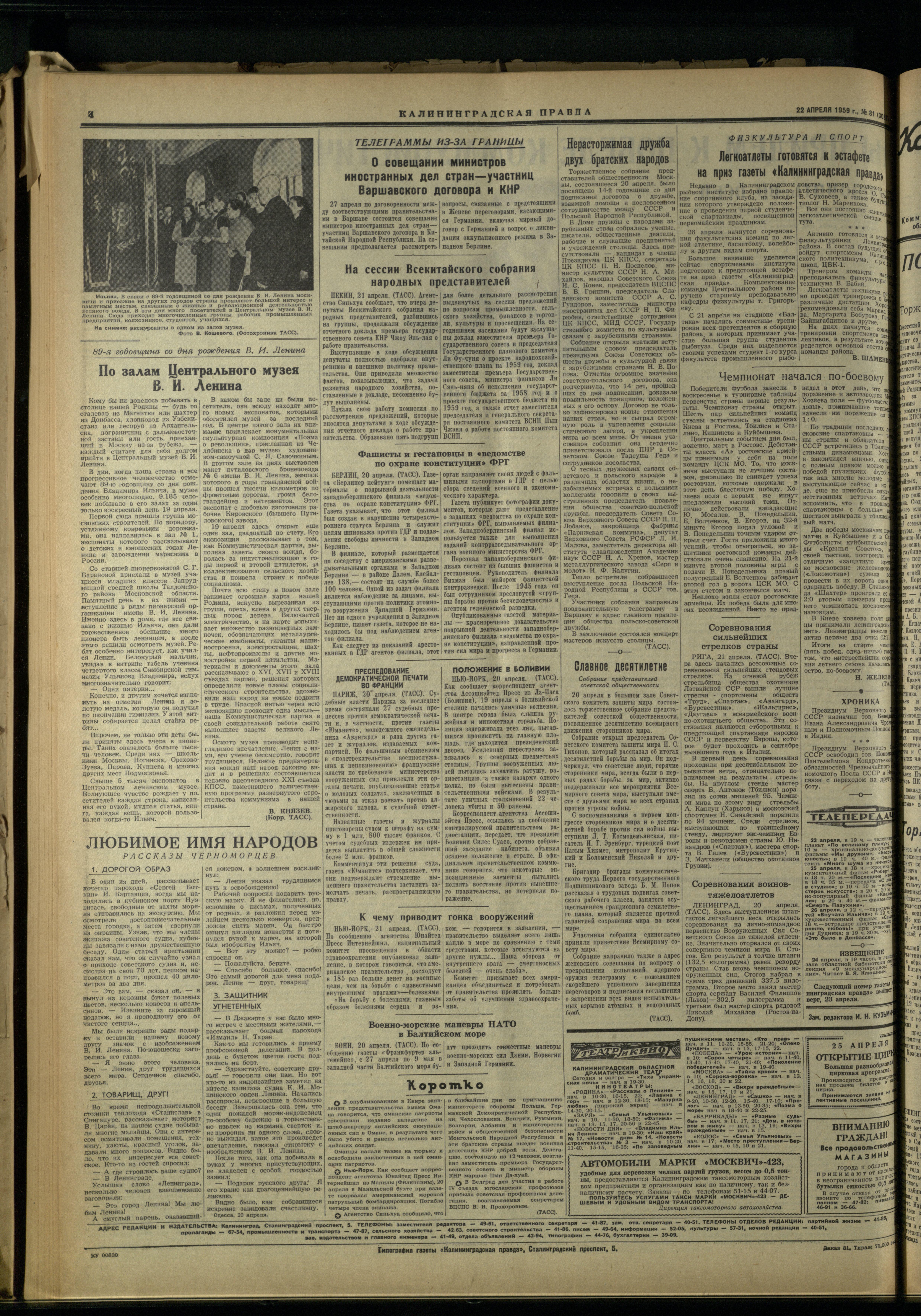 81-4-59-4