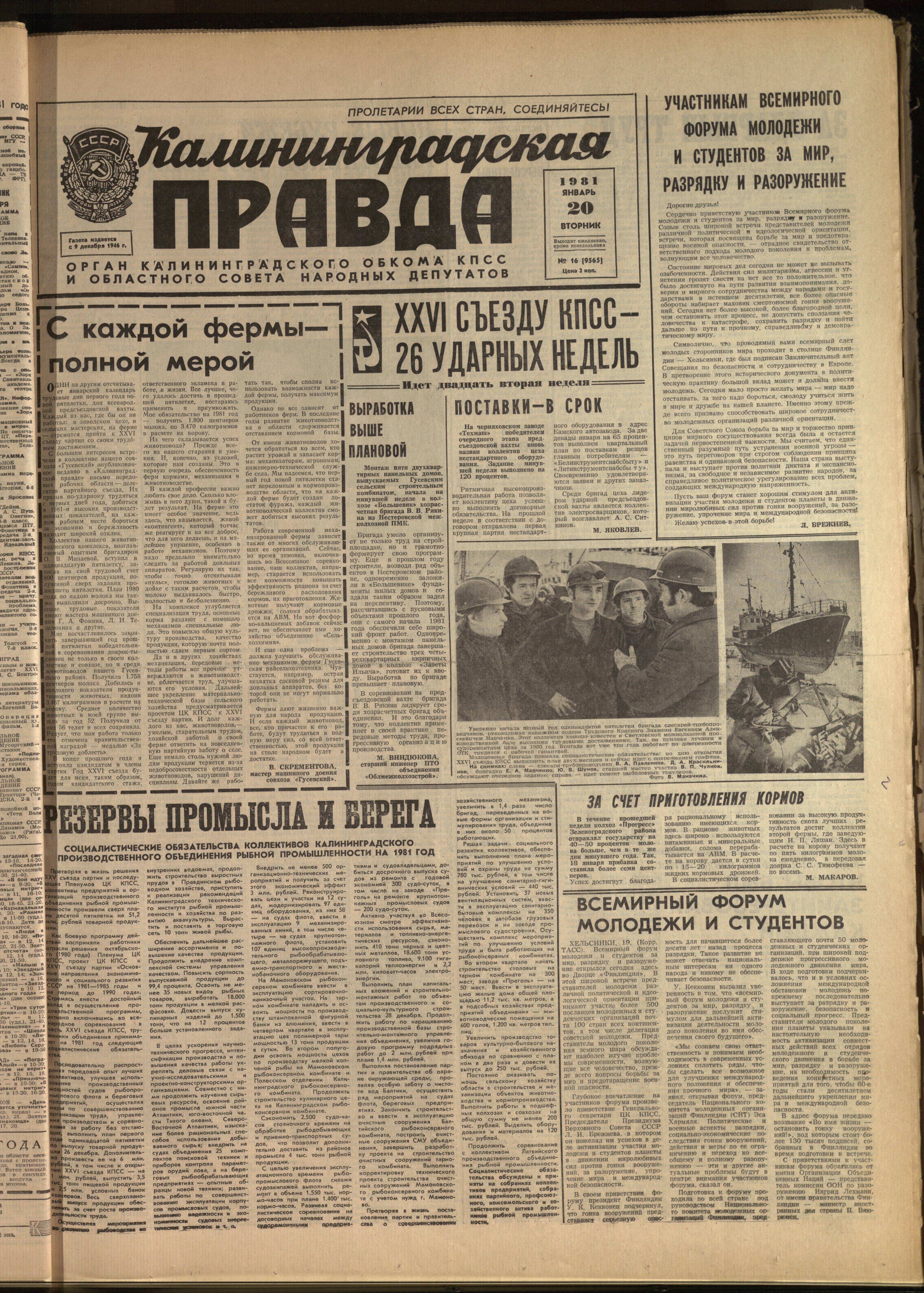16-1-81-1