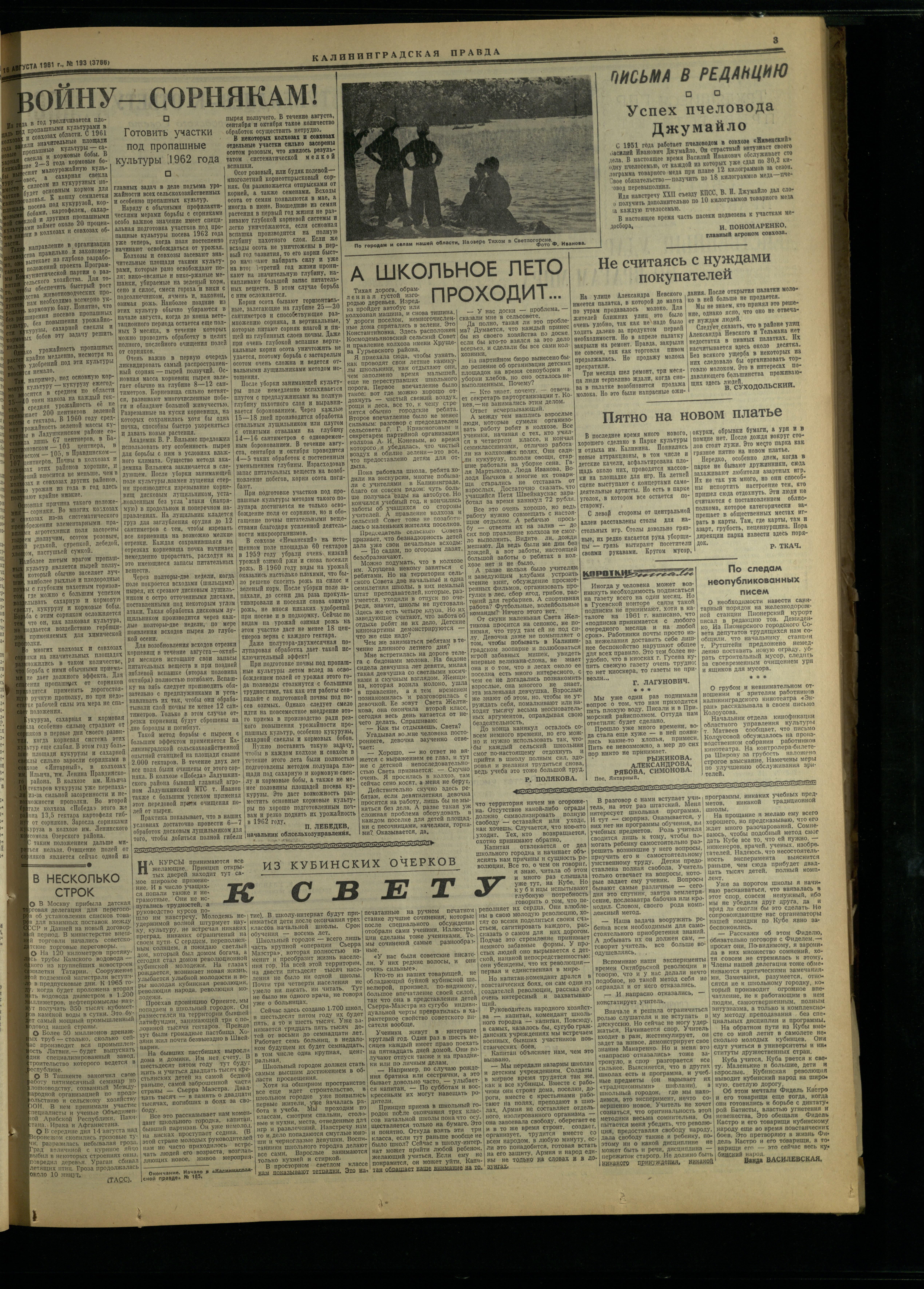 193-8-61-3