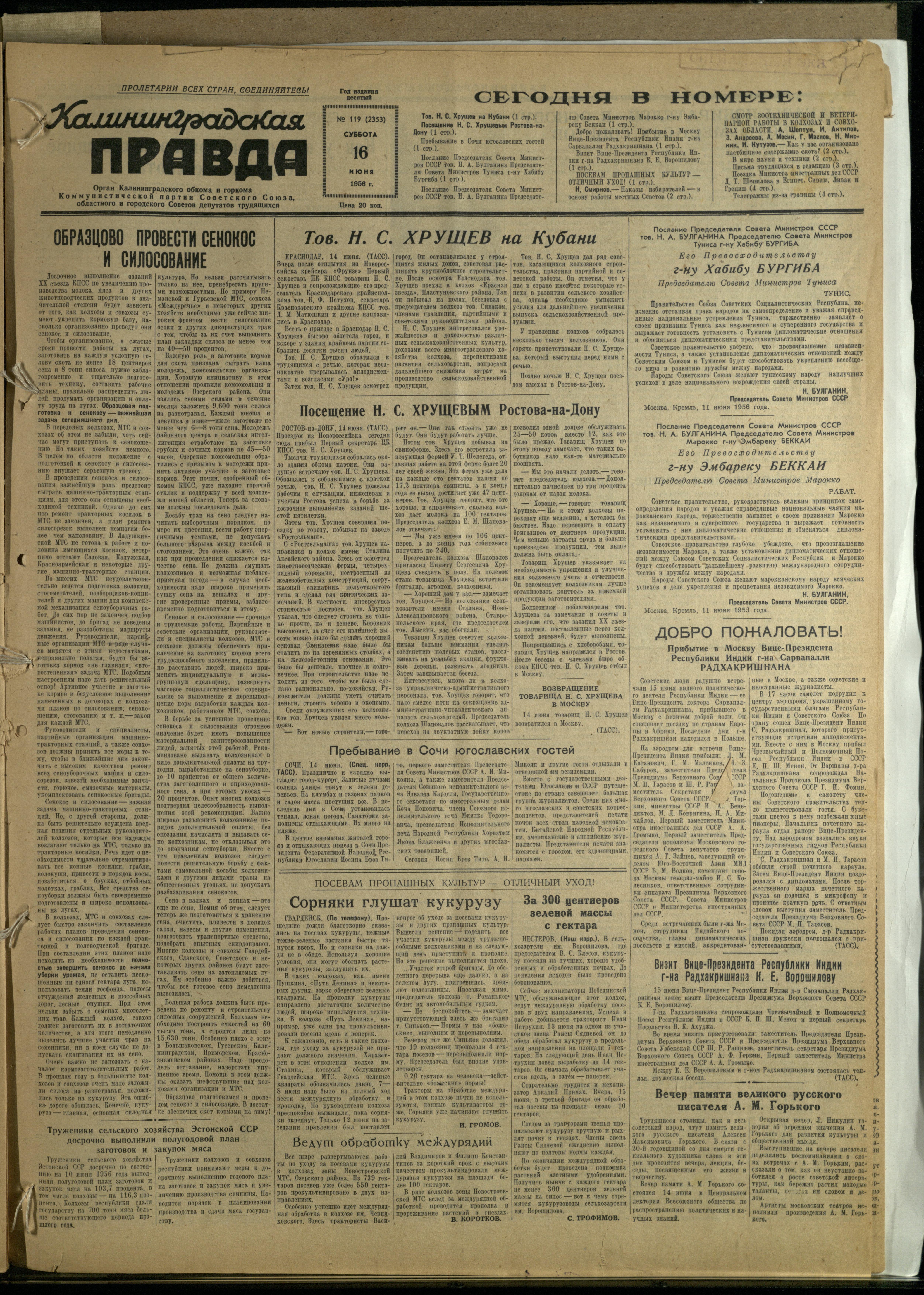 119-6-56-1