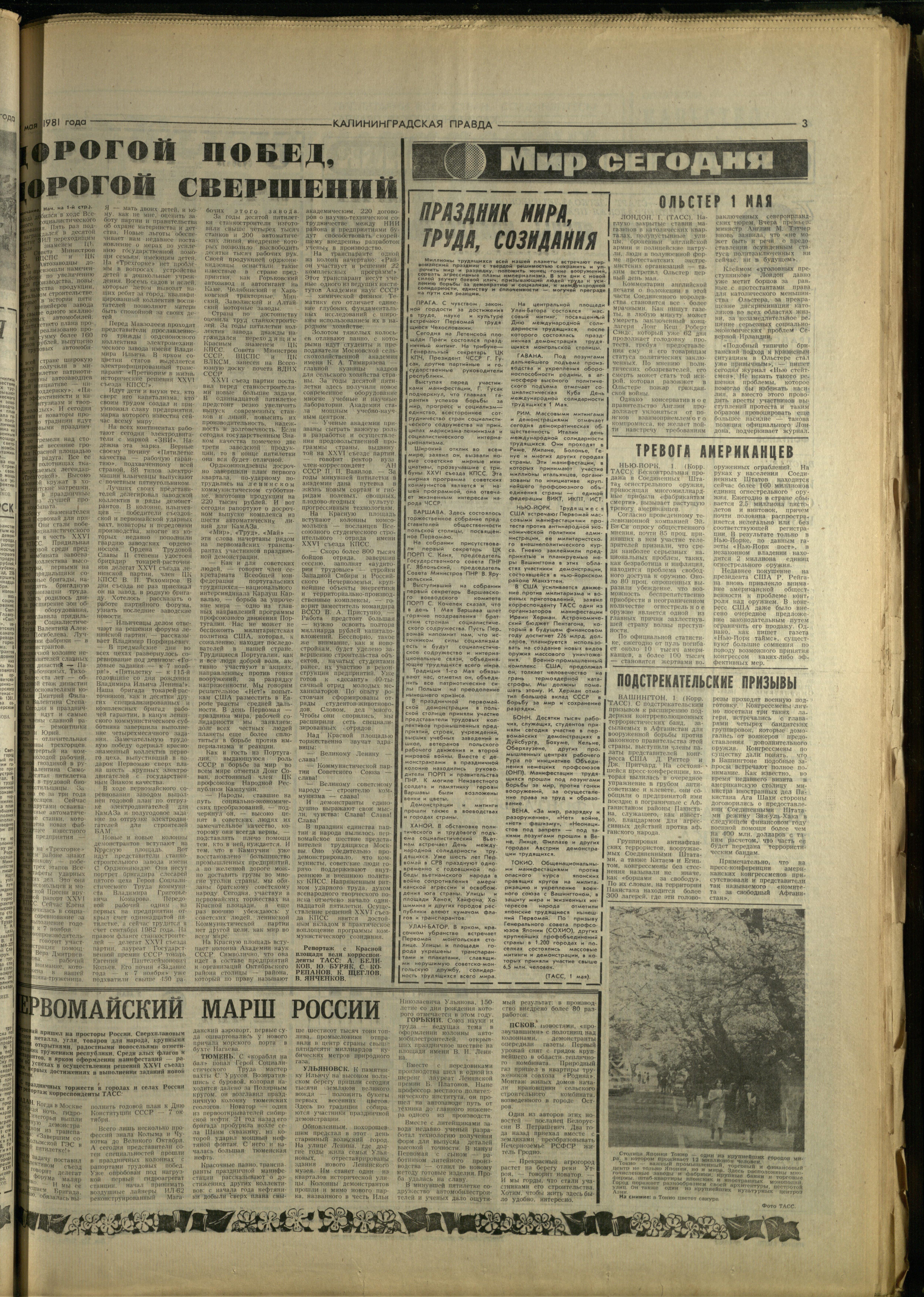 102-5-81-3