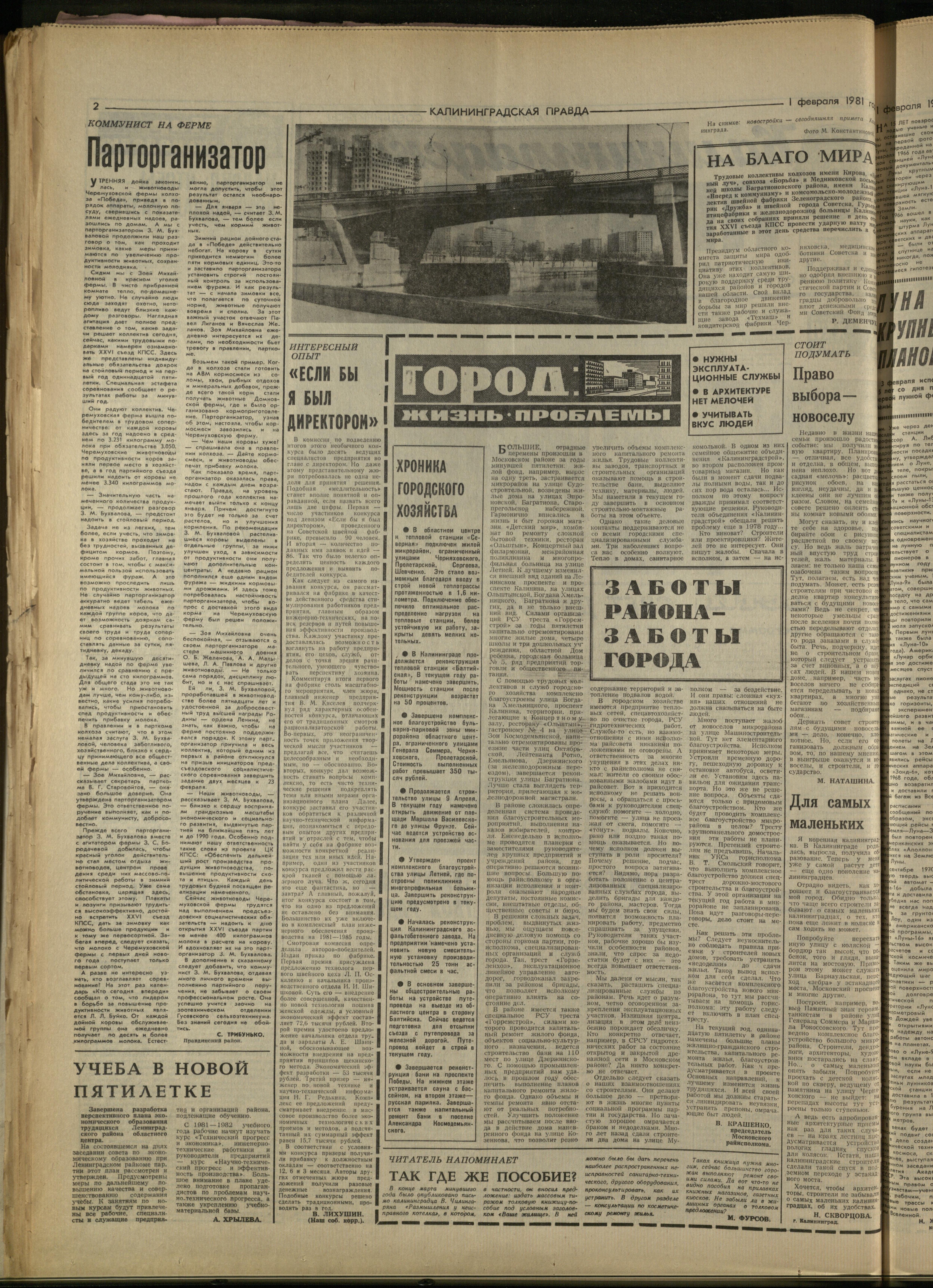 27-2-81-2