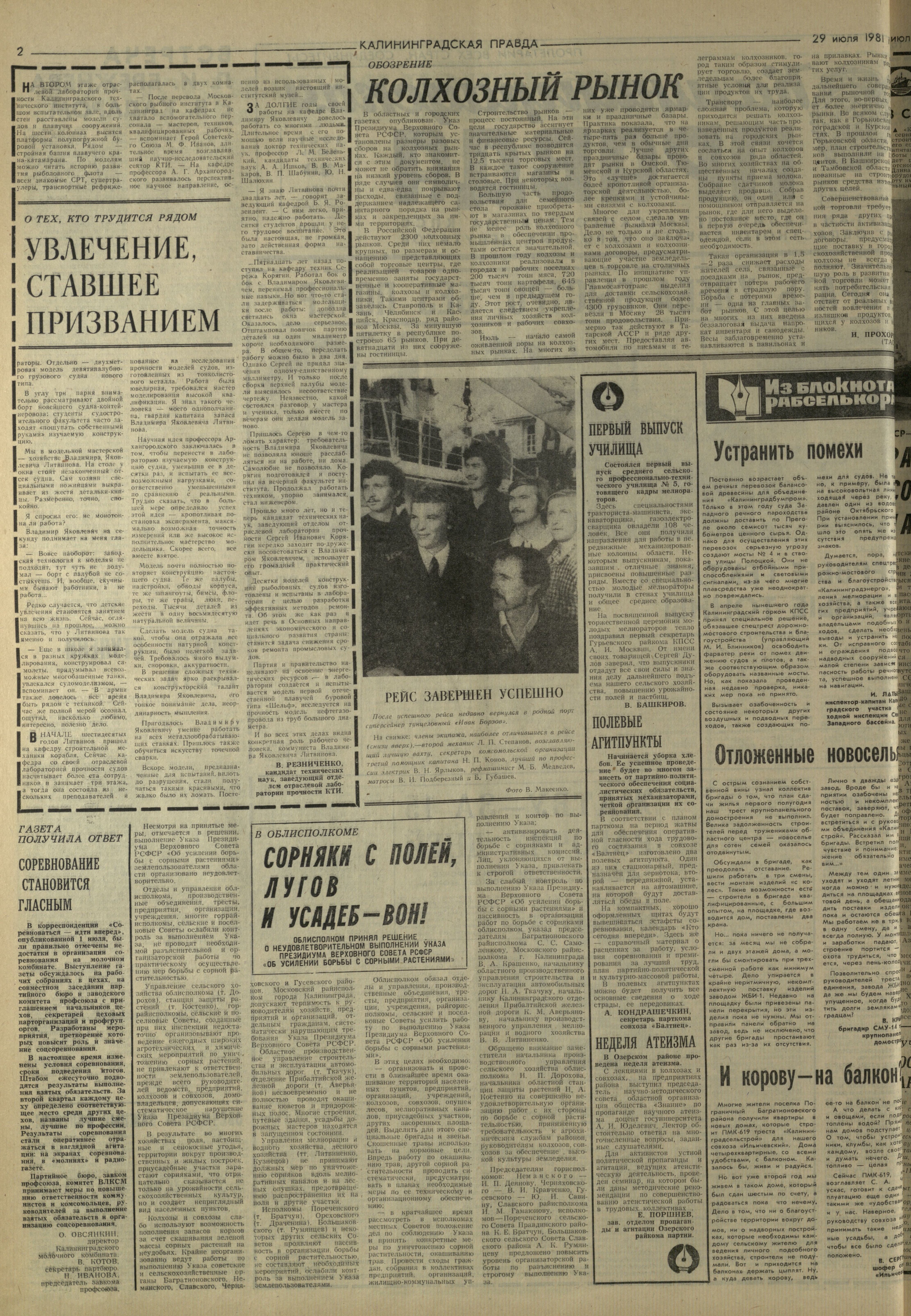 173-7-81-2