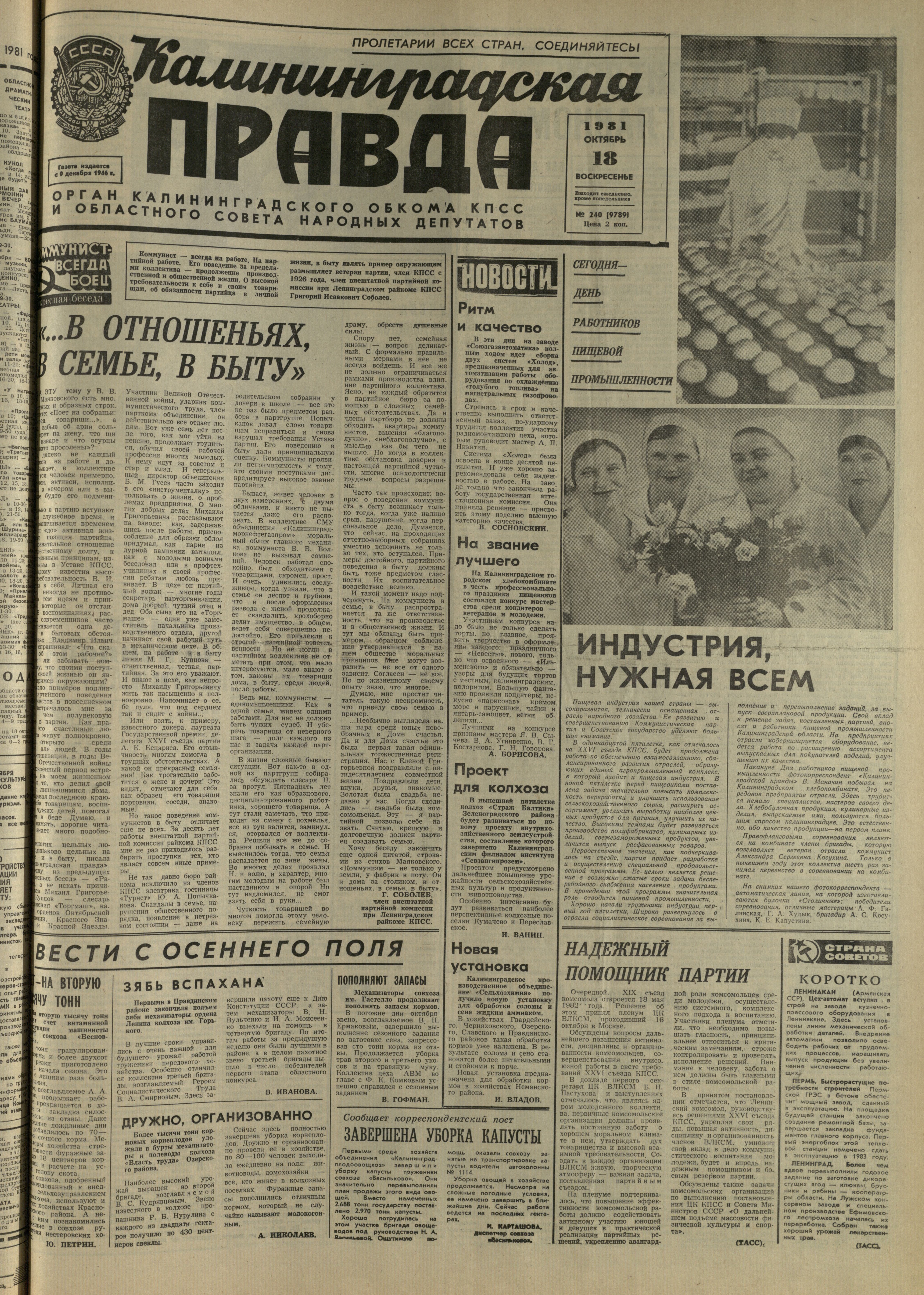240-10-81-1