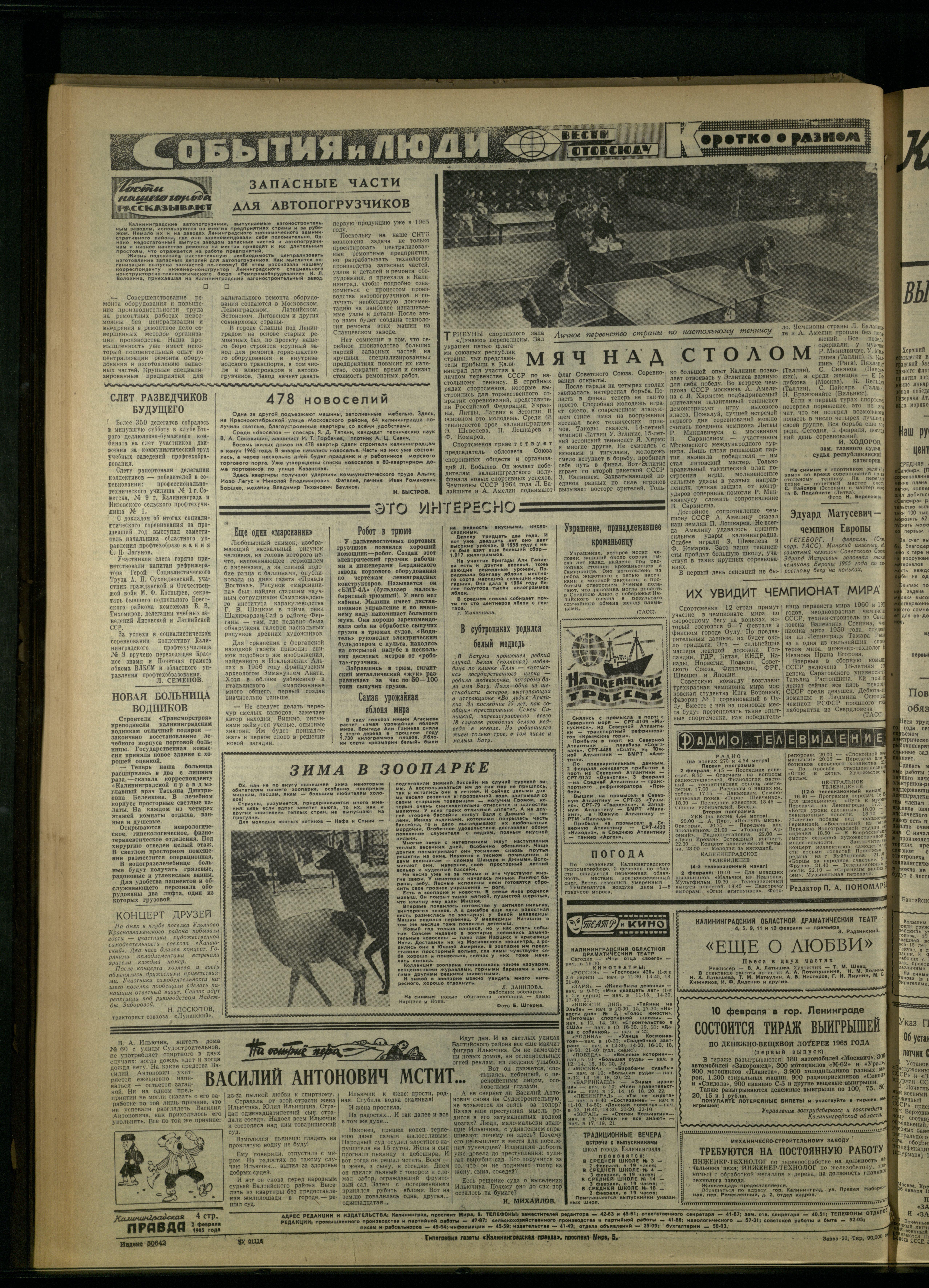26-2-65-4