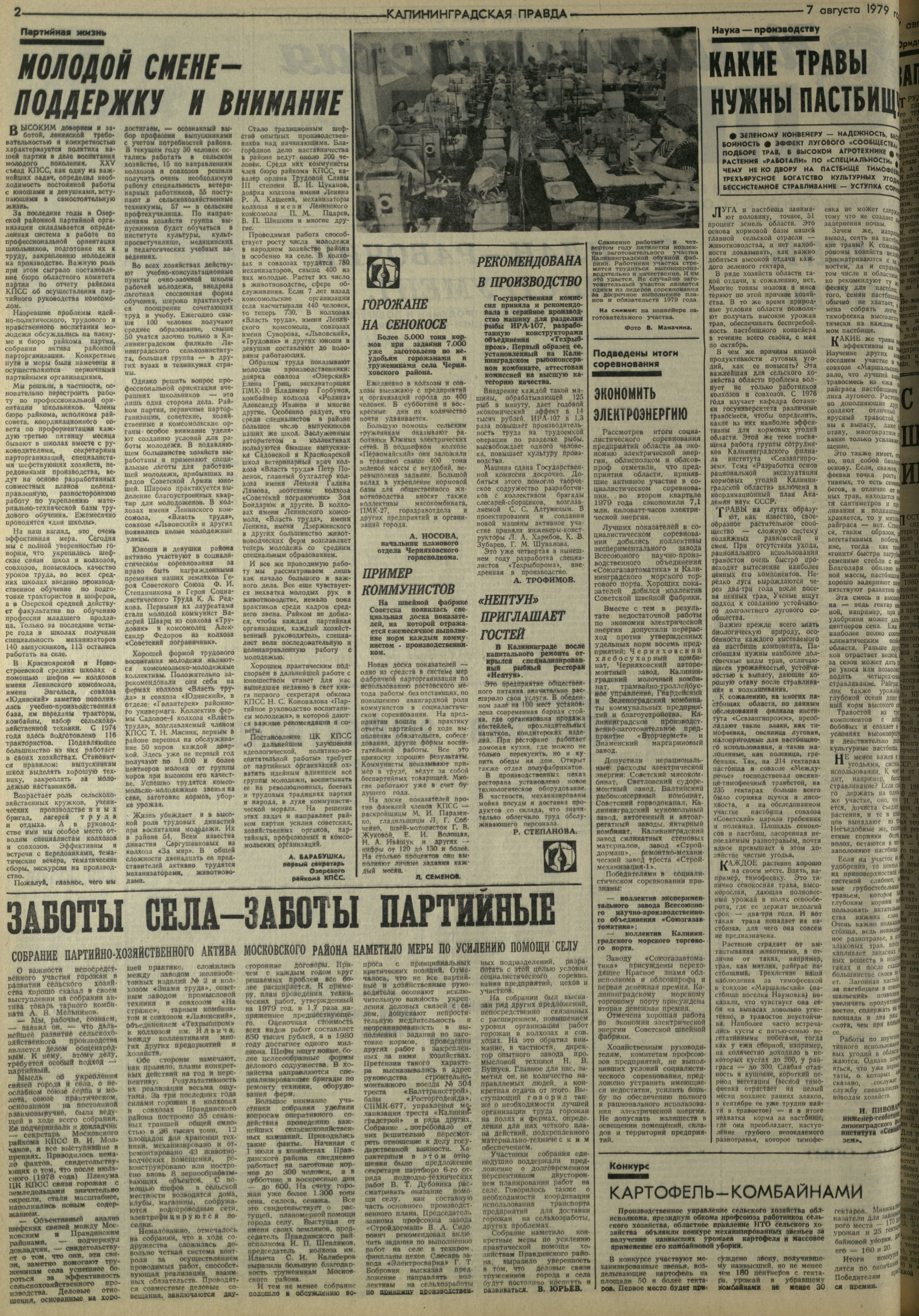 181-8-79-2