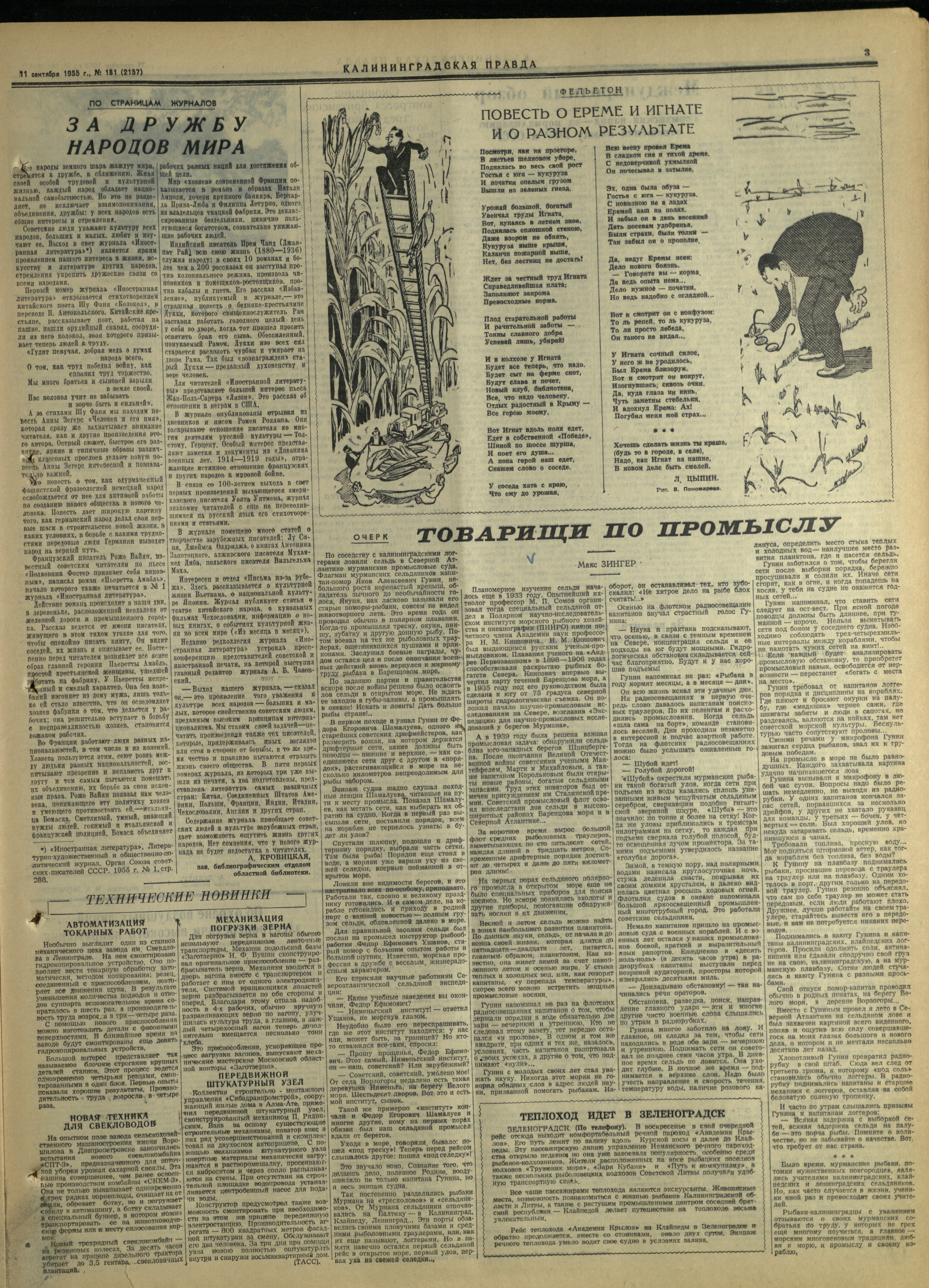 181-9-55-3