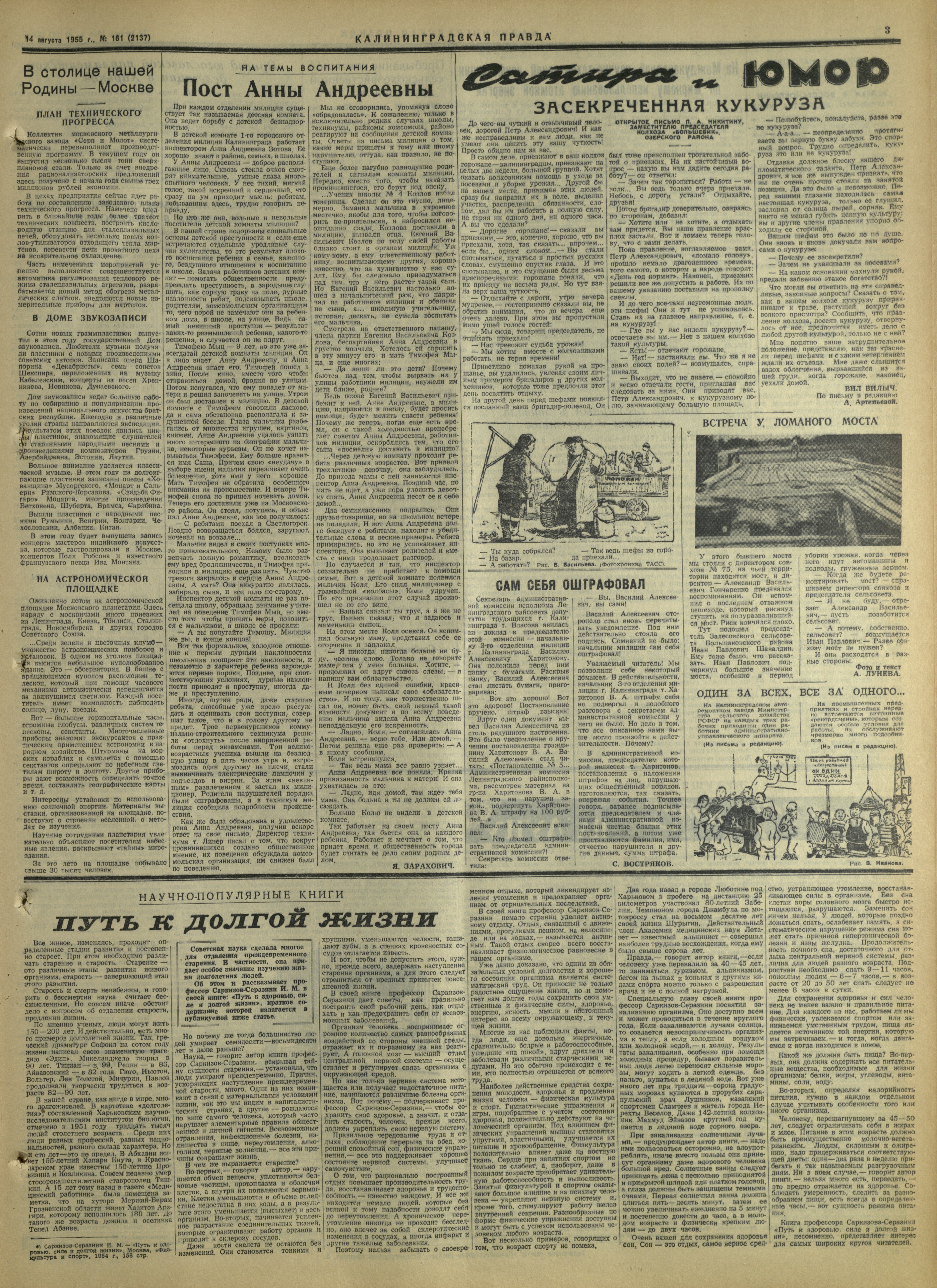 161-8-55-3
