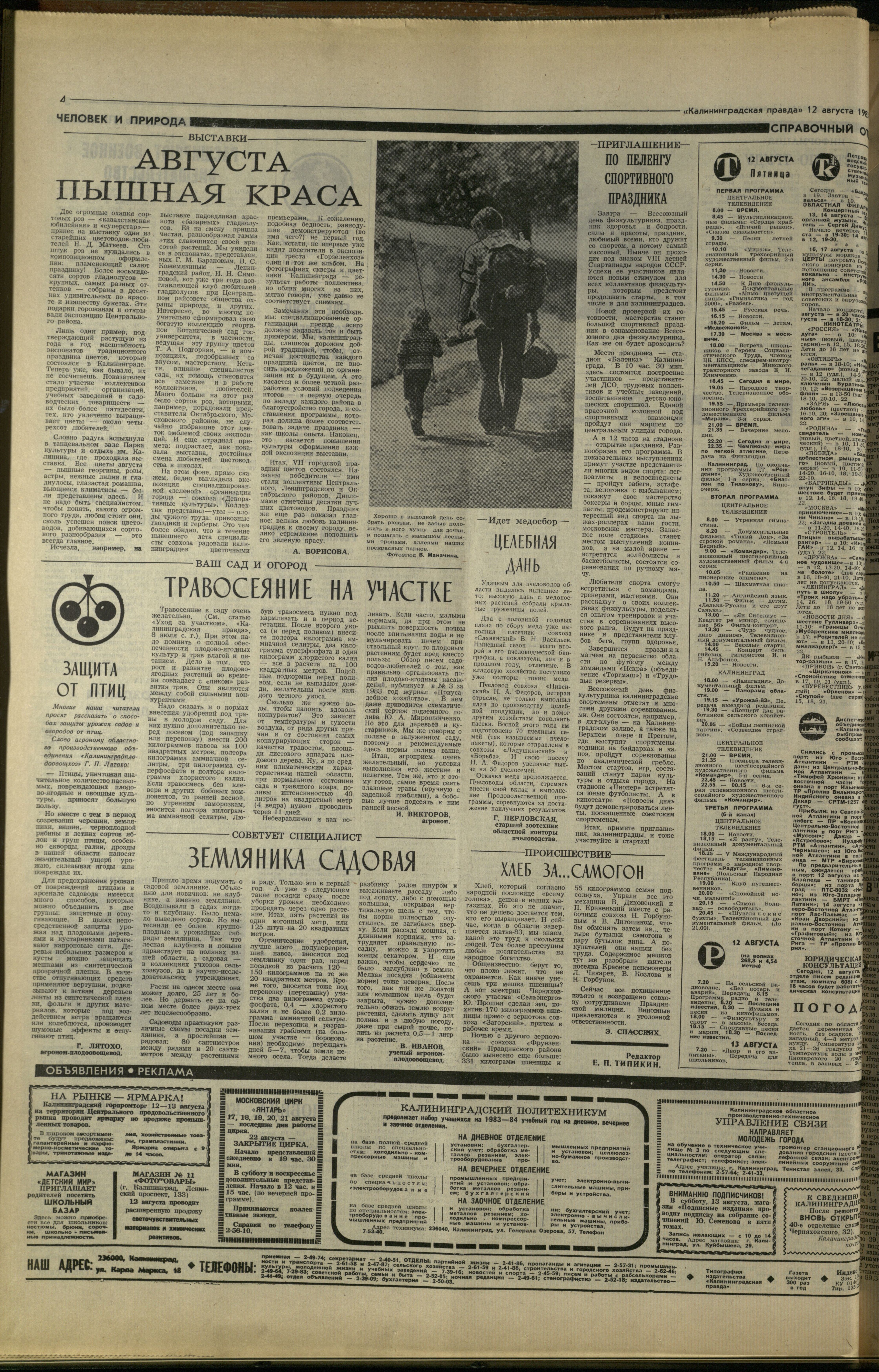 186-8-83-4