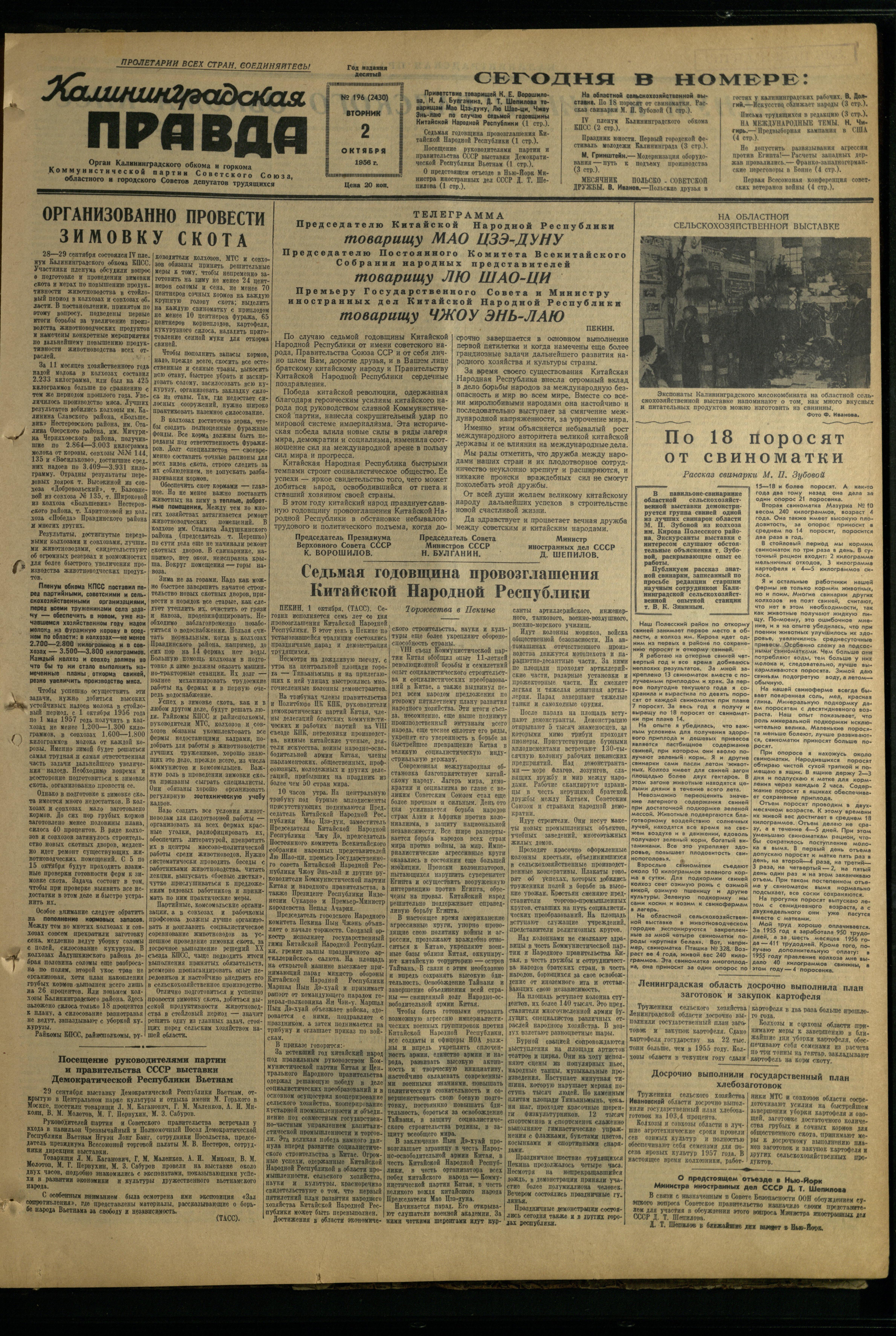 196-10-56-1