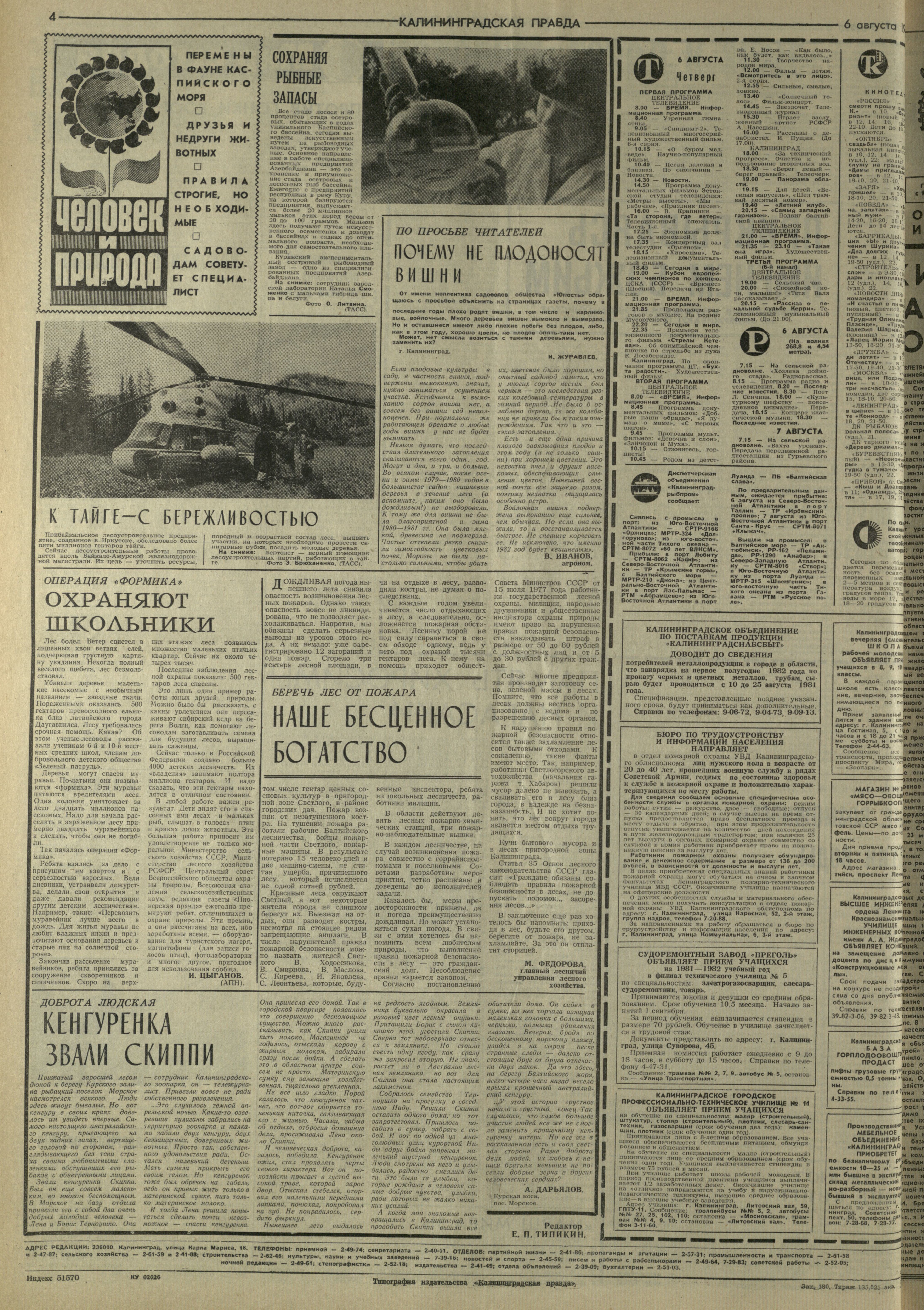 180-8-81-4