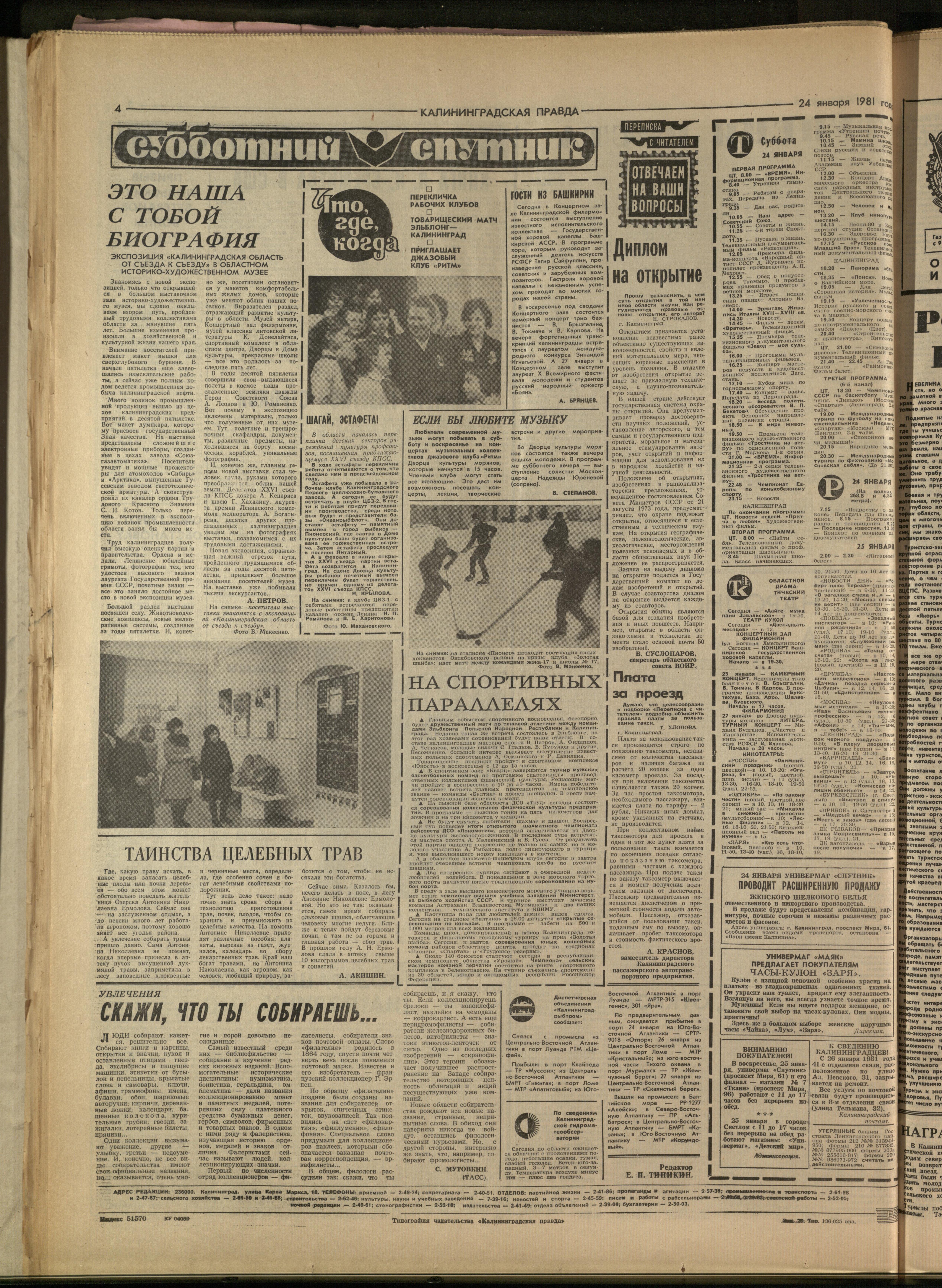 20-1-81-4