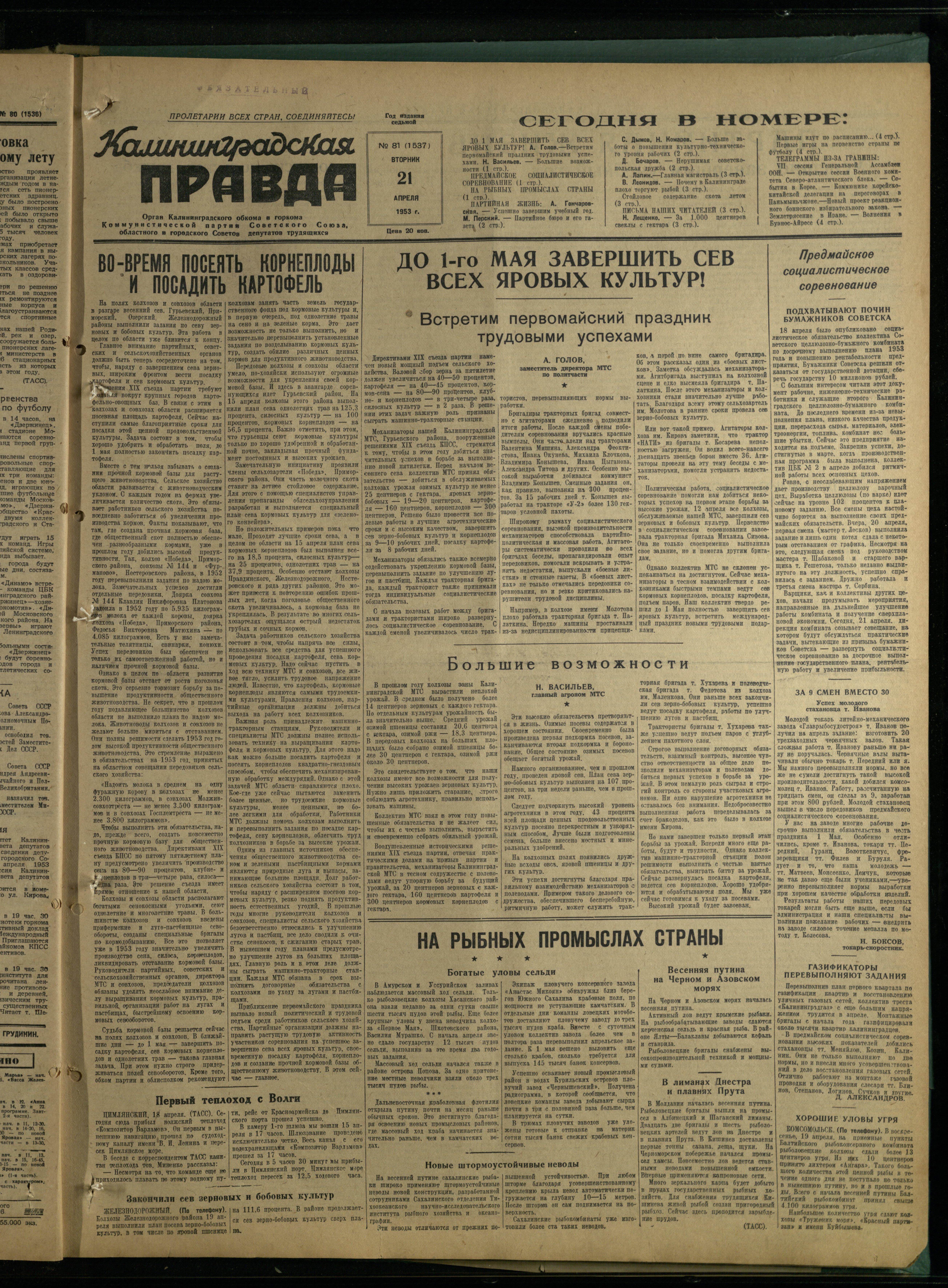 81-4-53-1