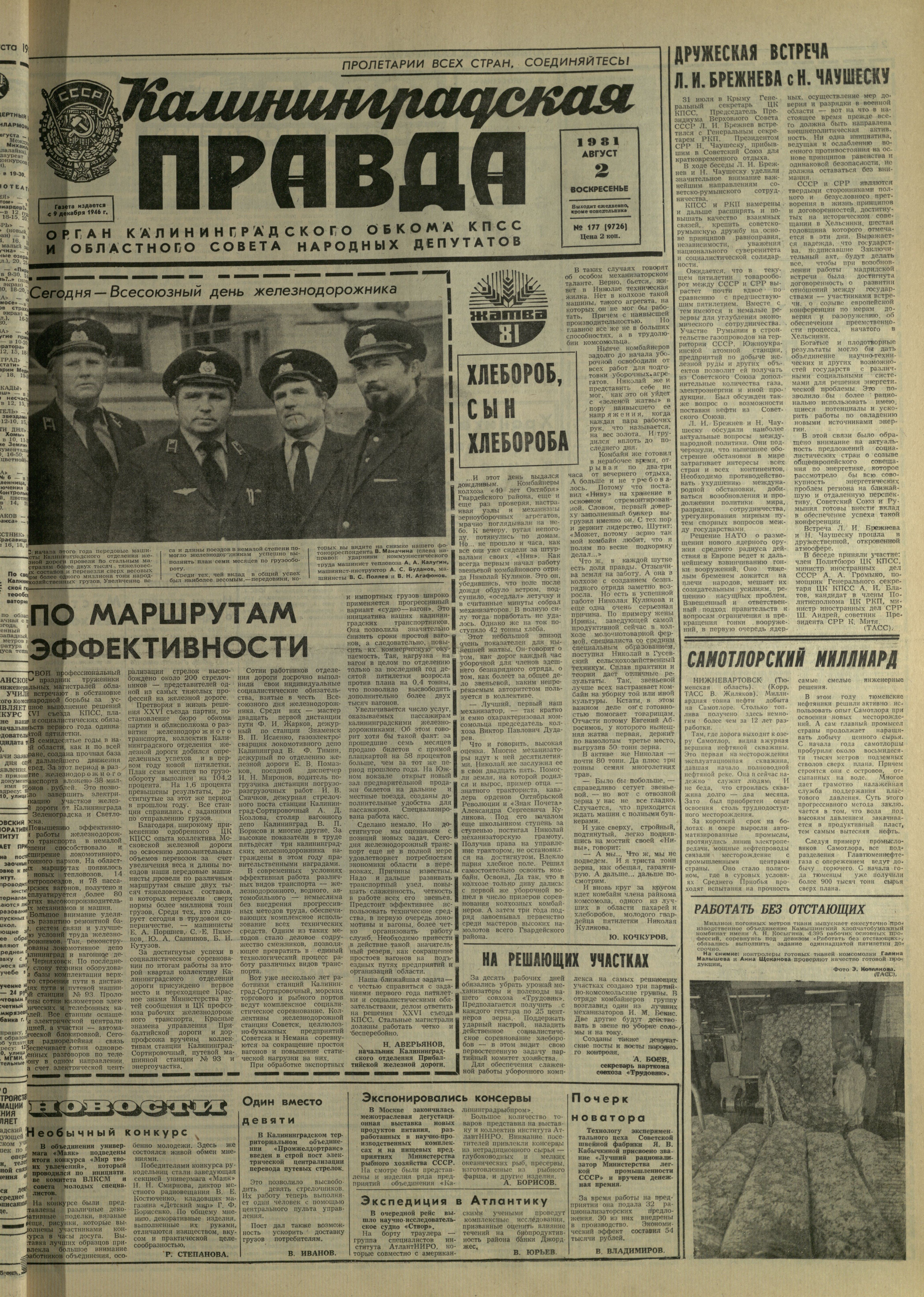 177-8-81-1