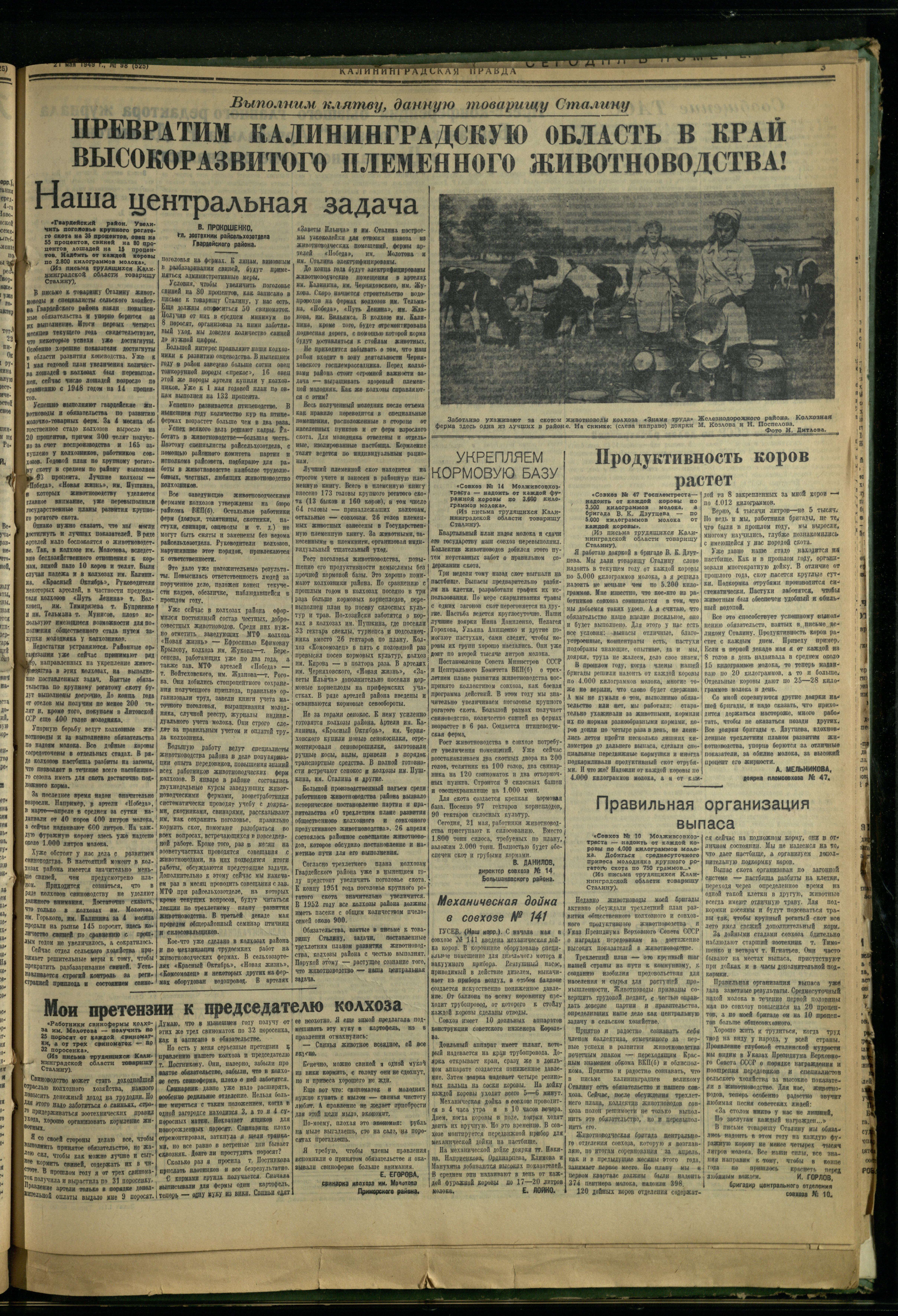 98-5-49-3