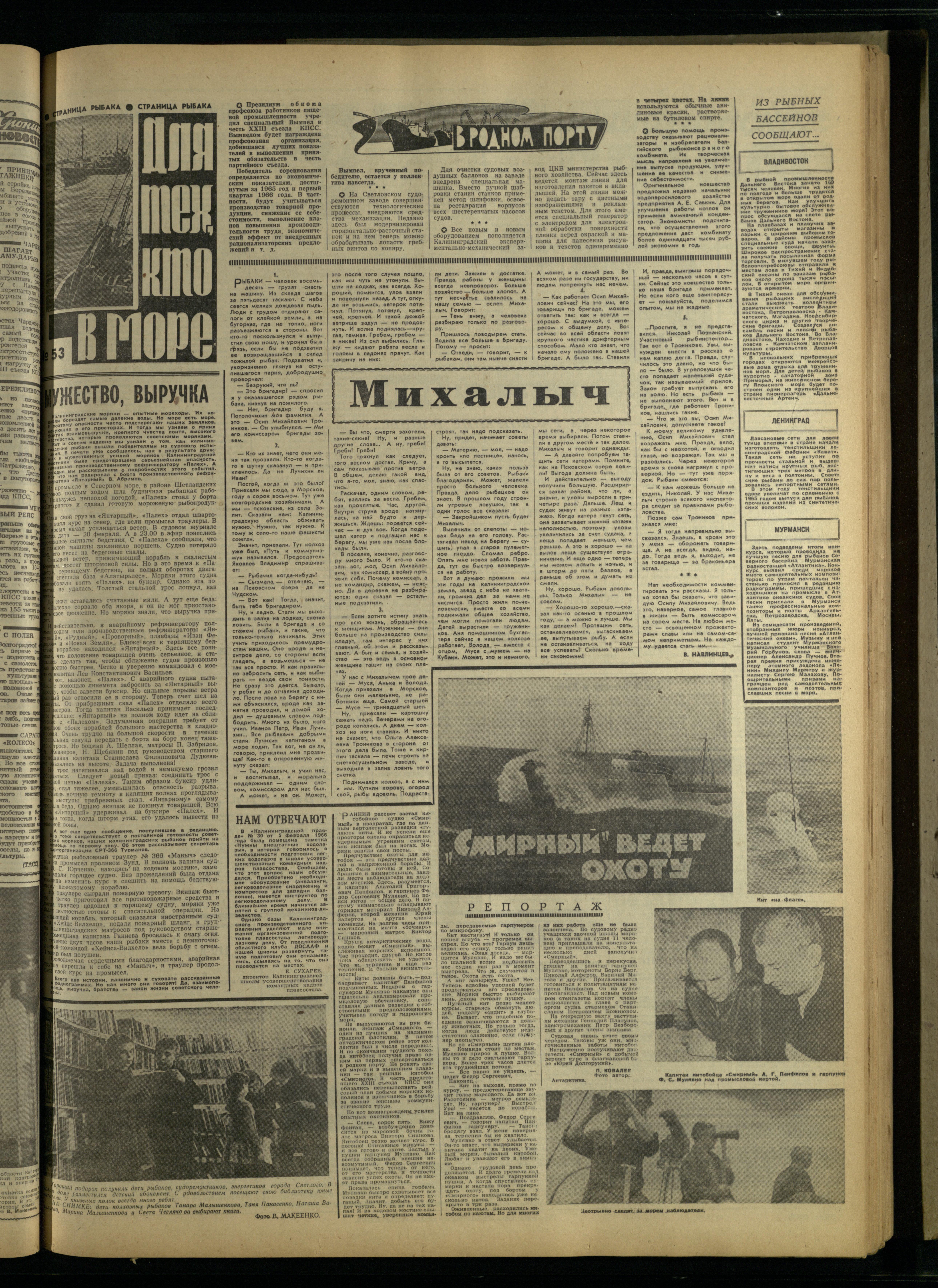 59-3-66-3