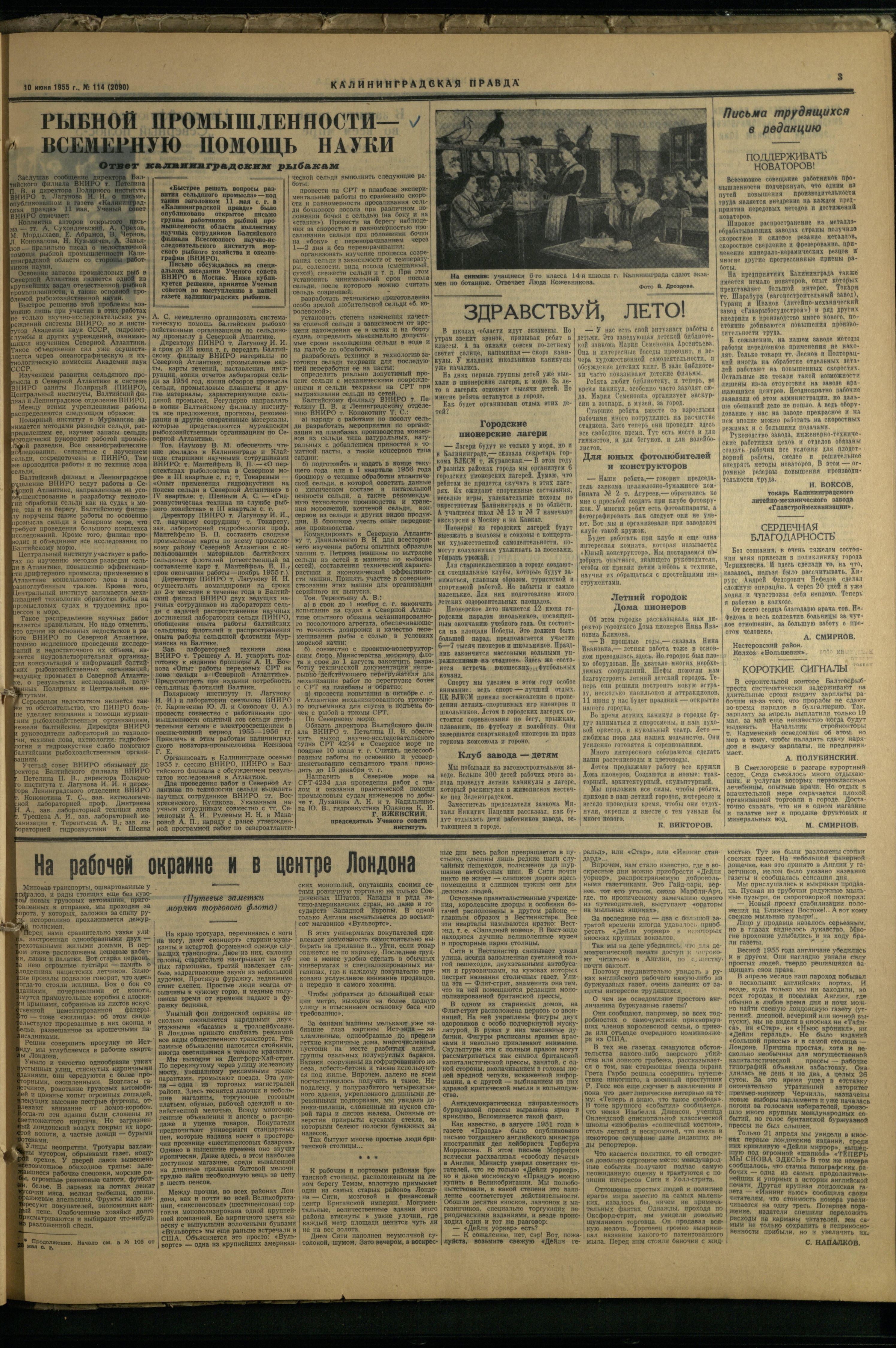 114-6-55-3