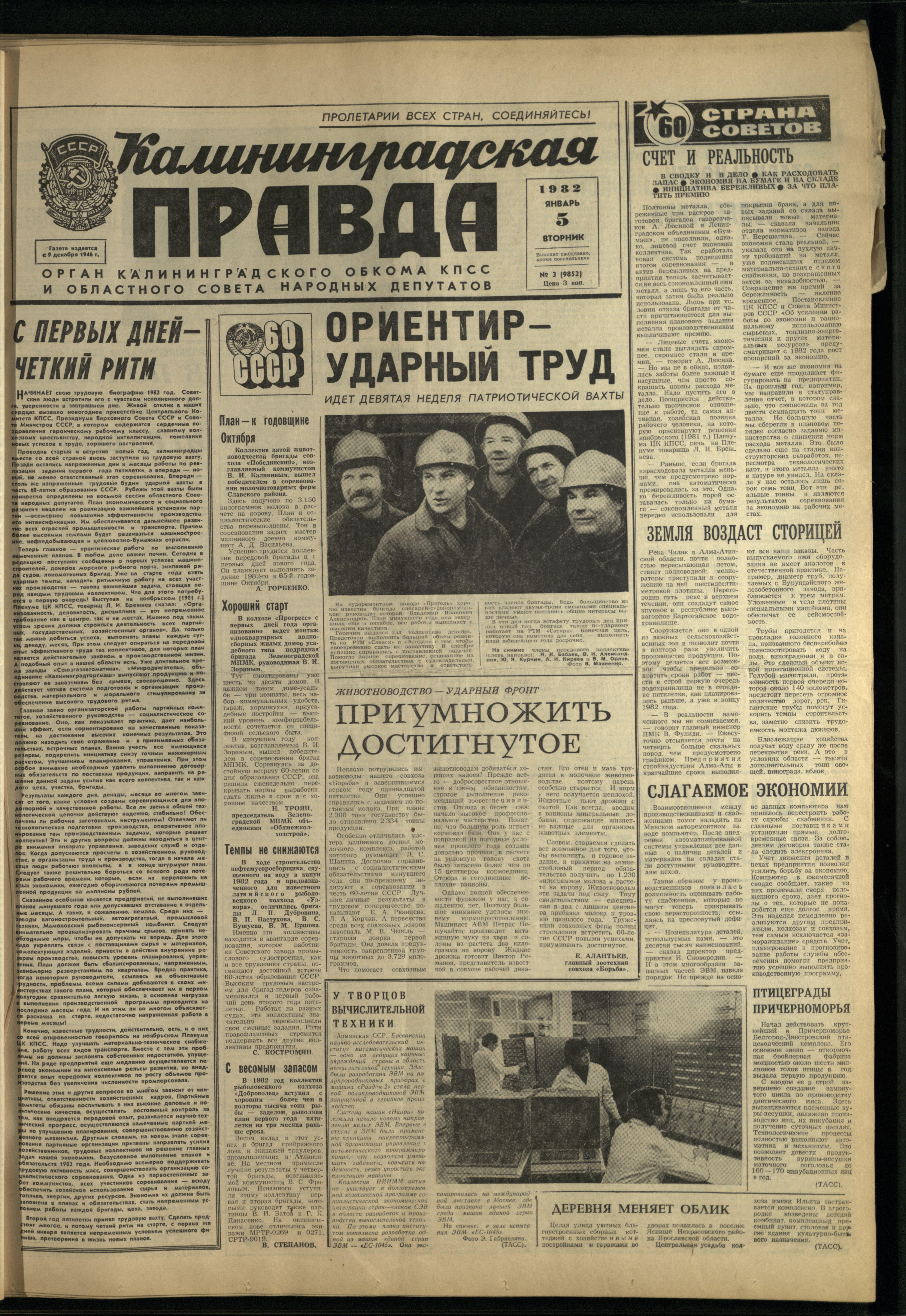 3-1-82-1