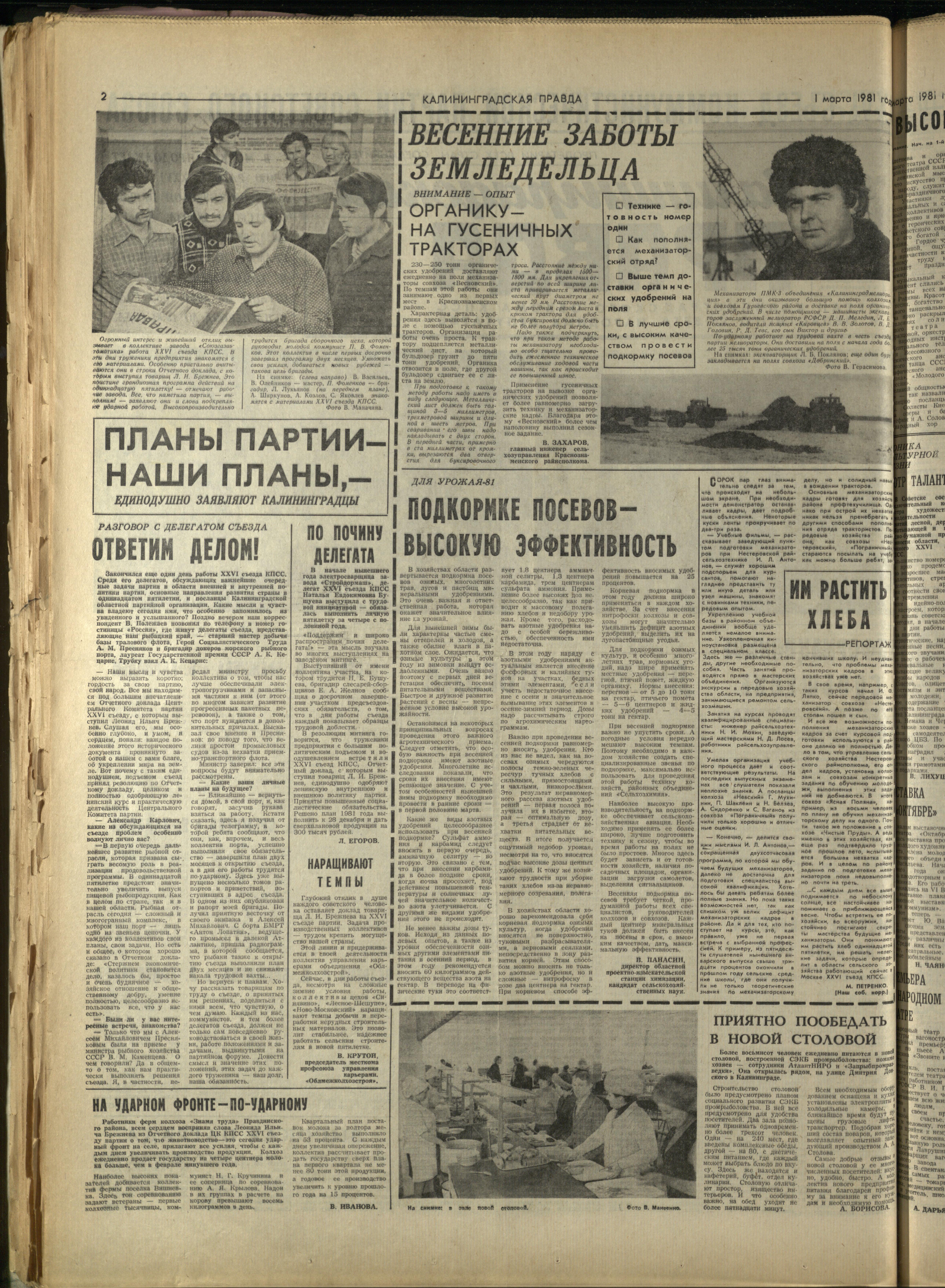 51-3-81-2