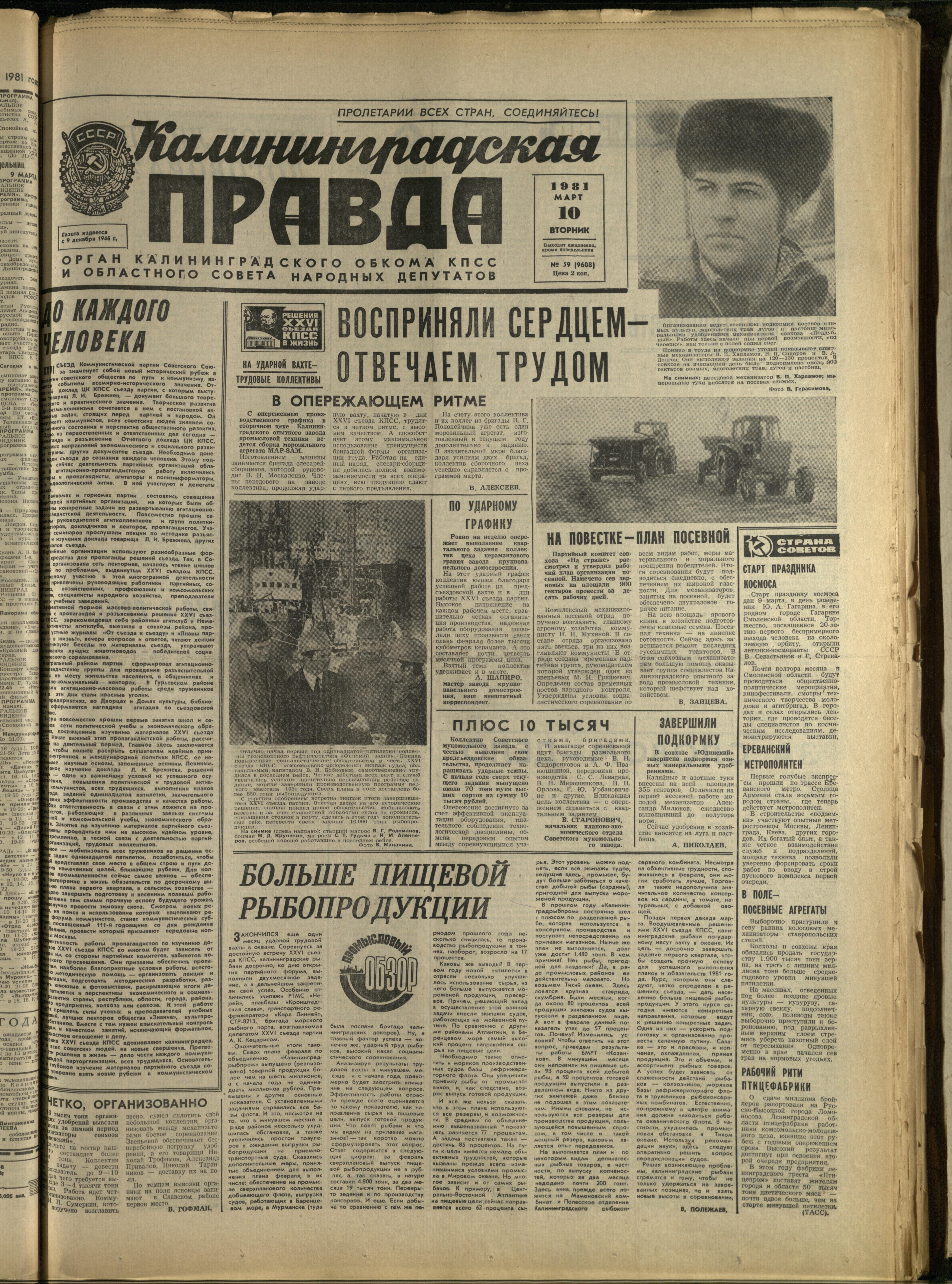 59-3-81-1