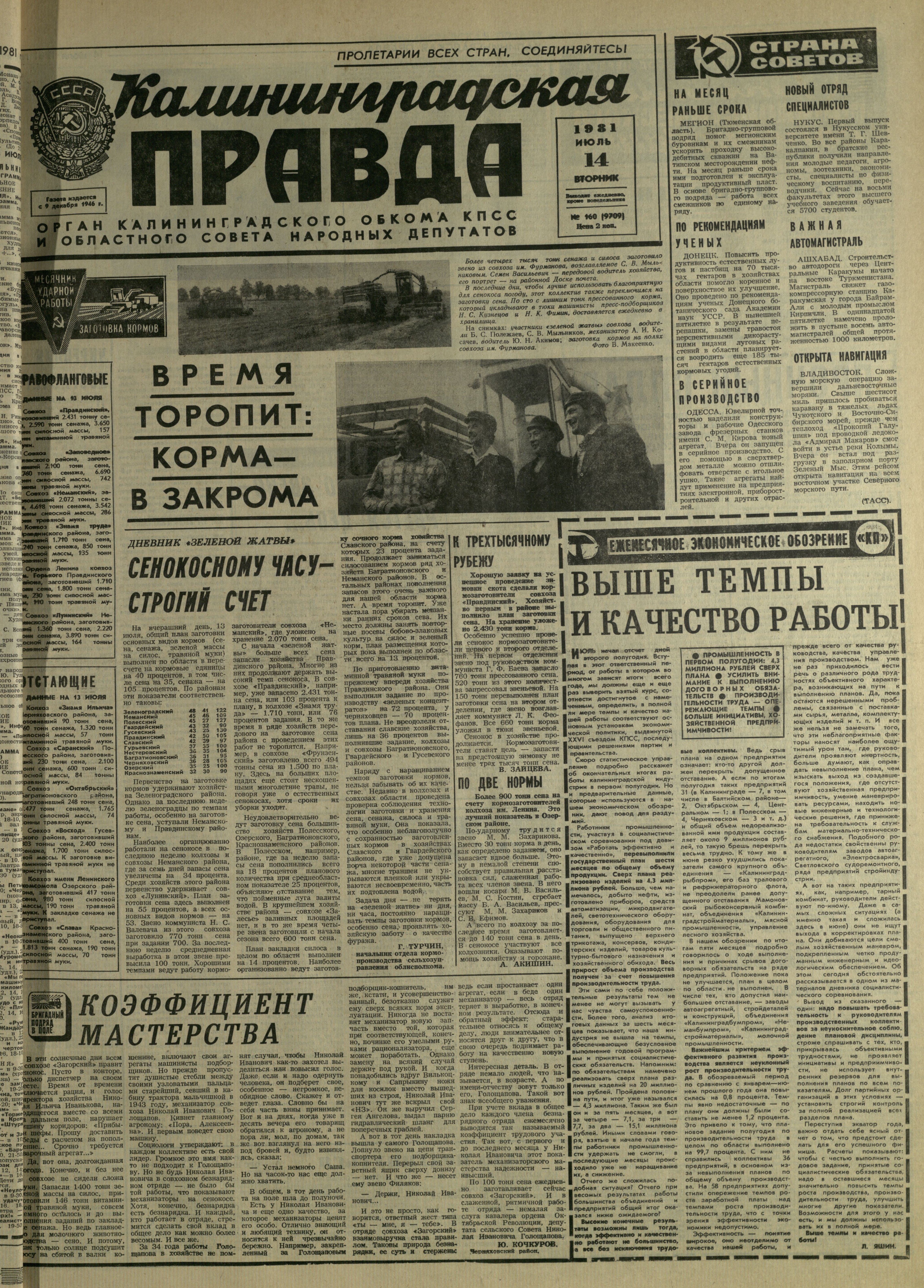160-7-81-1
