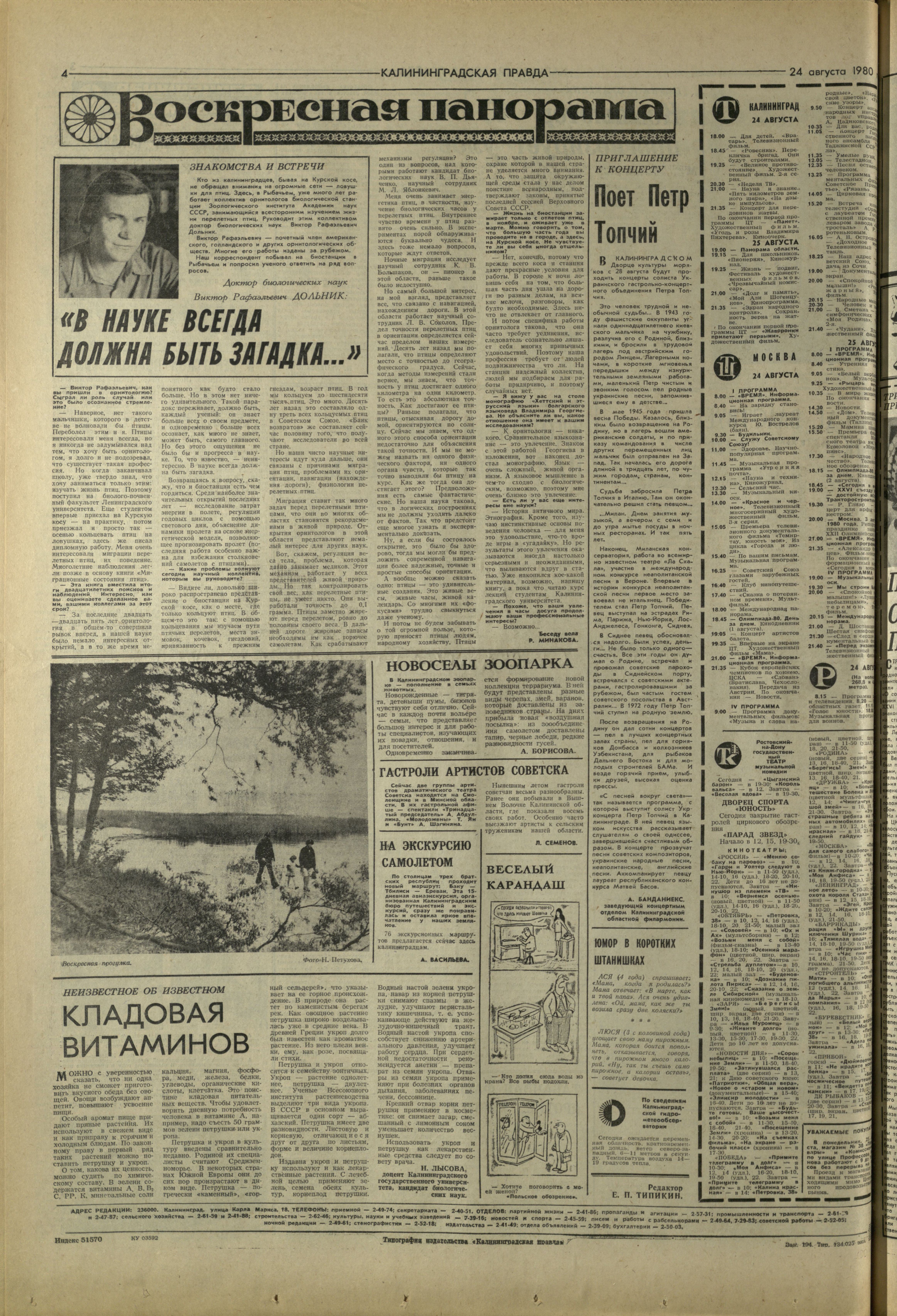 194-8-80-4