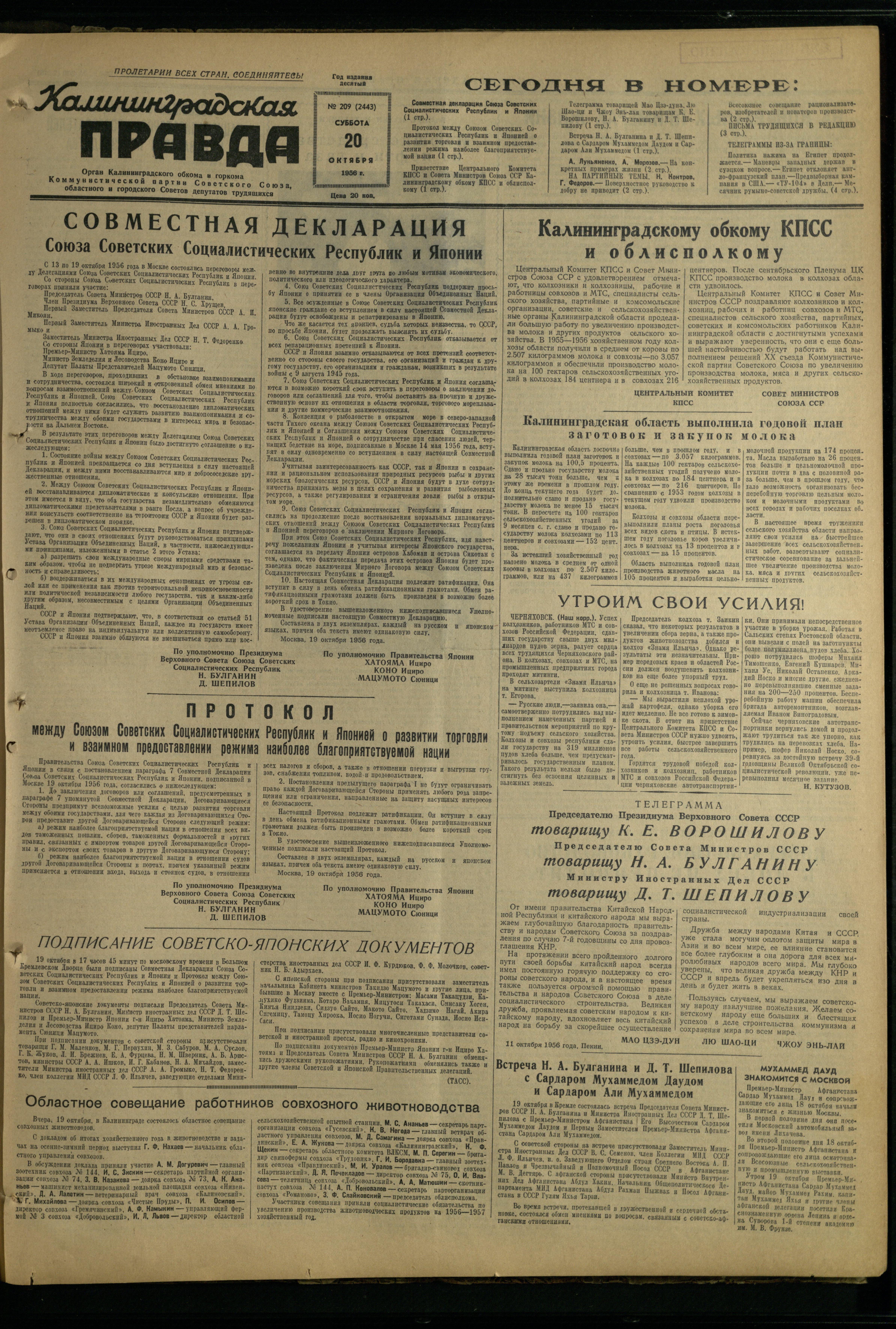 209-10-56-1