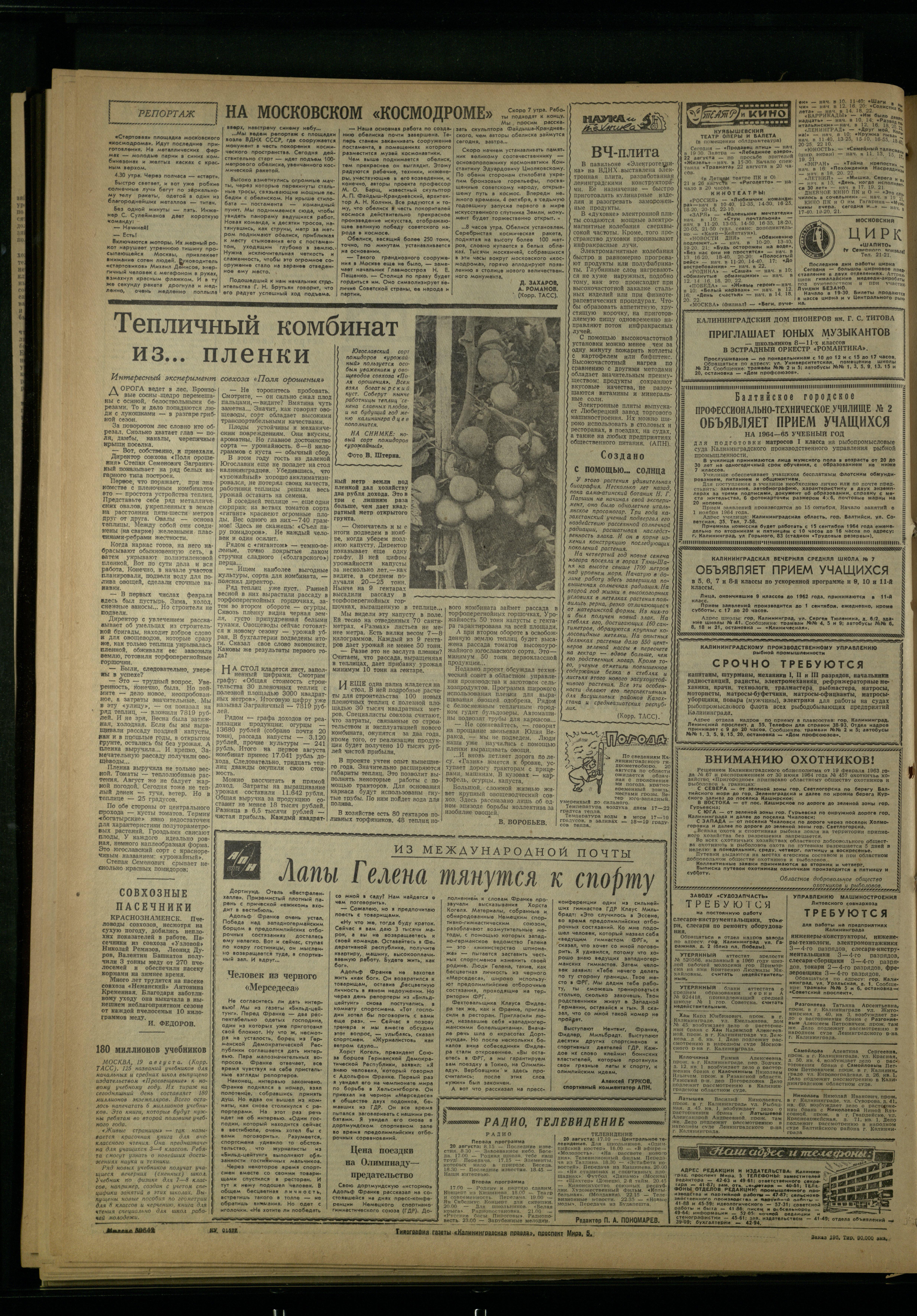 195-8-64-4