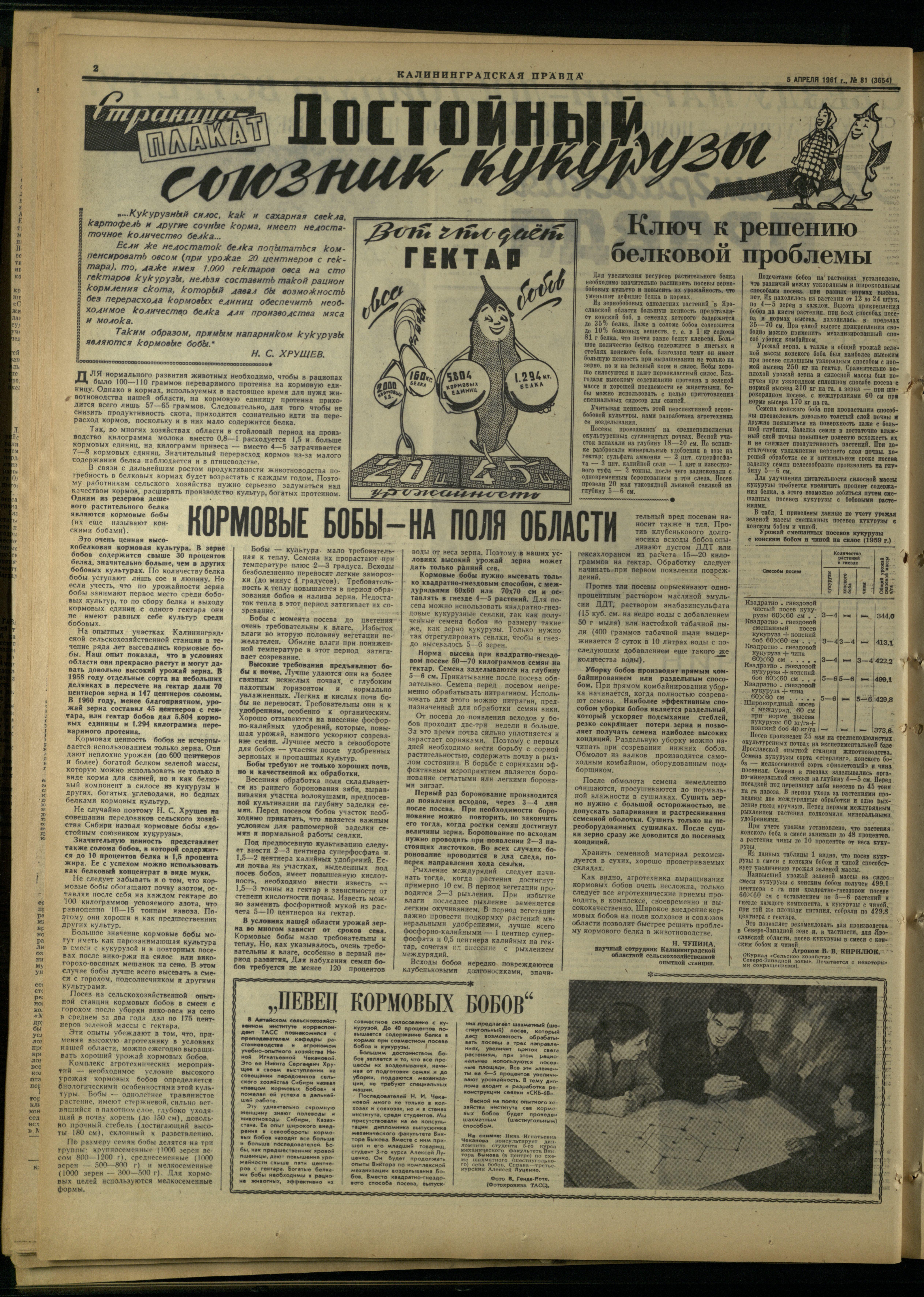 81-4-61-2