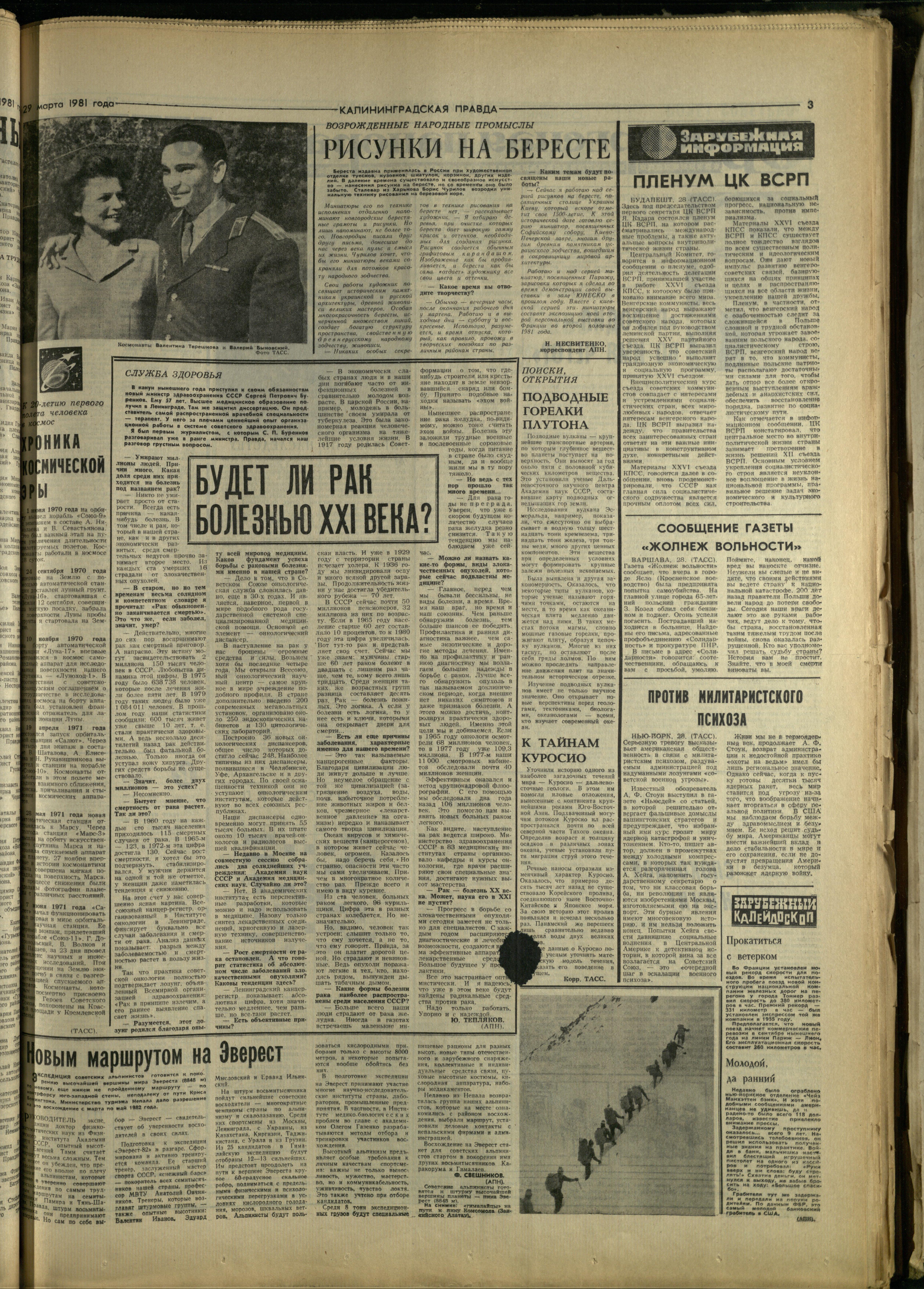 75-3-81-3