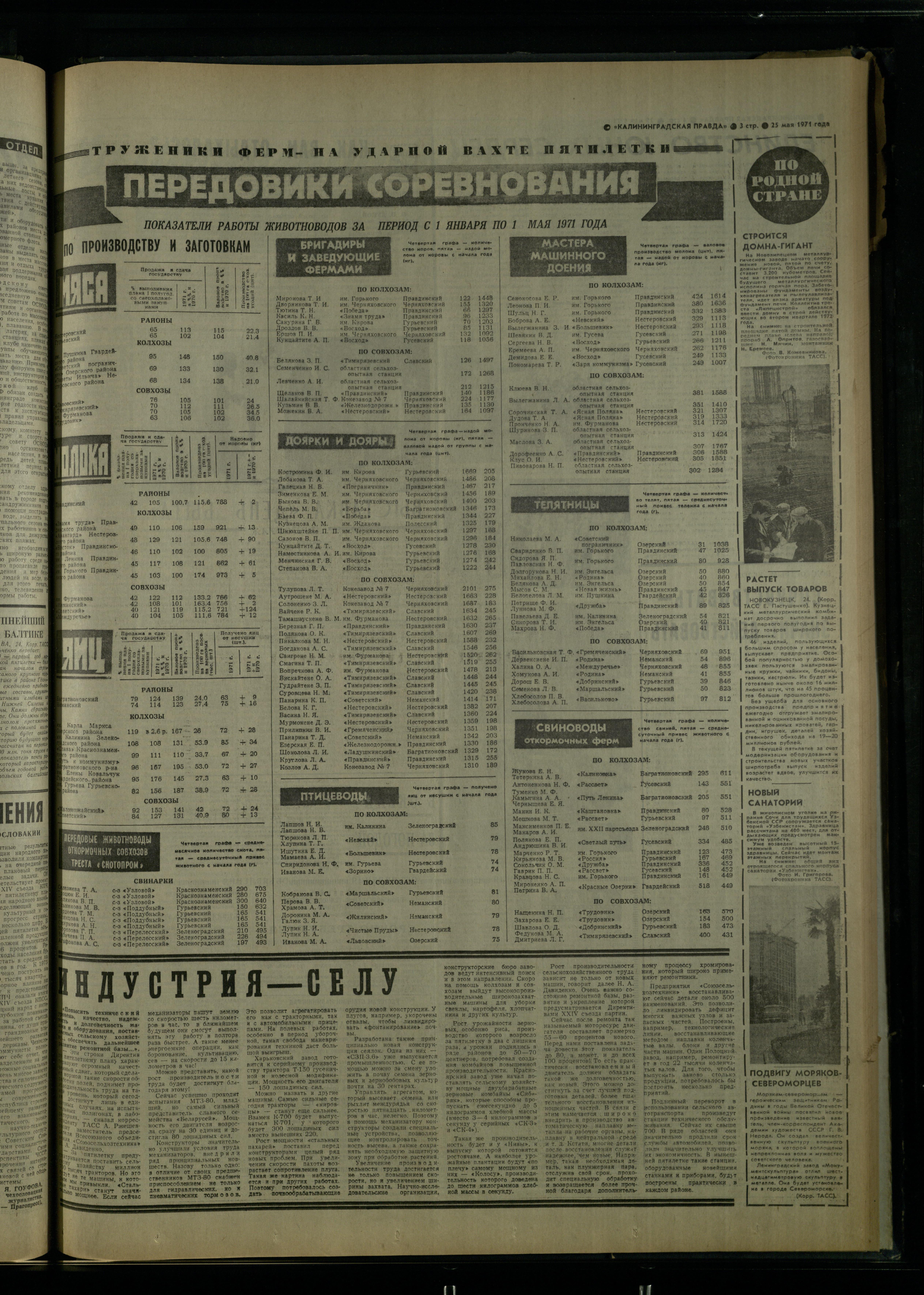 119-5-71-3