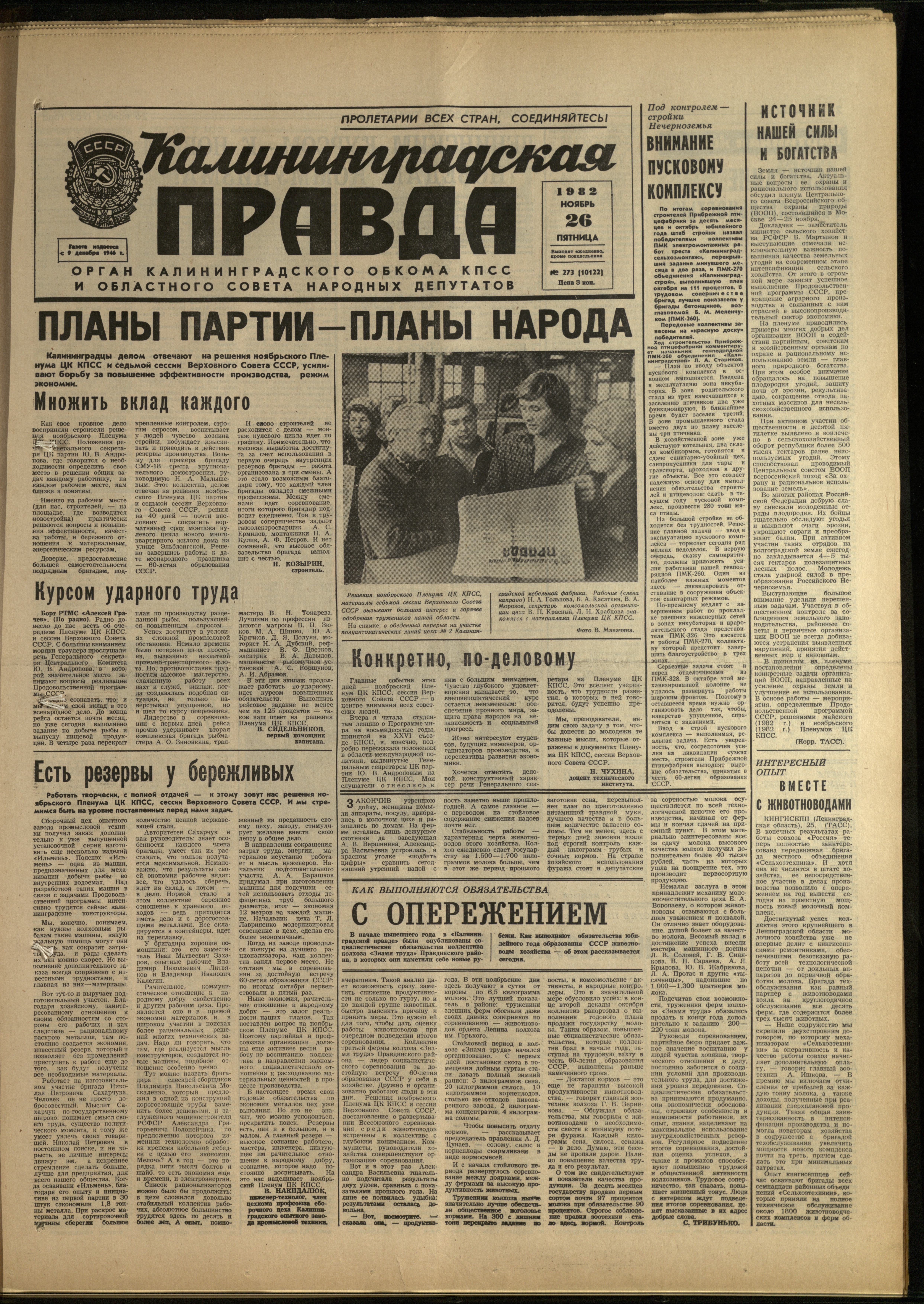 273-11-82-1