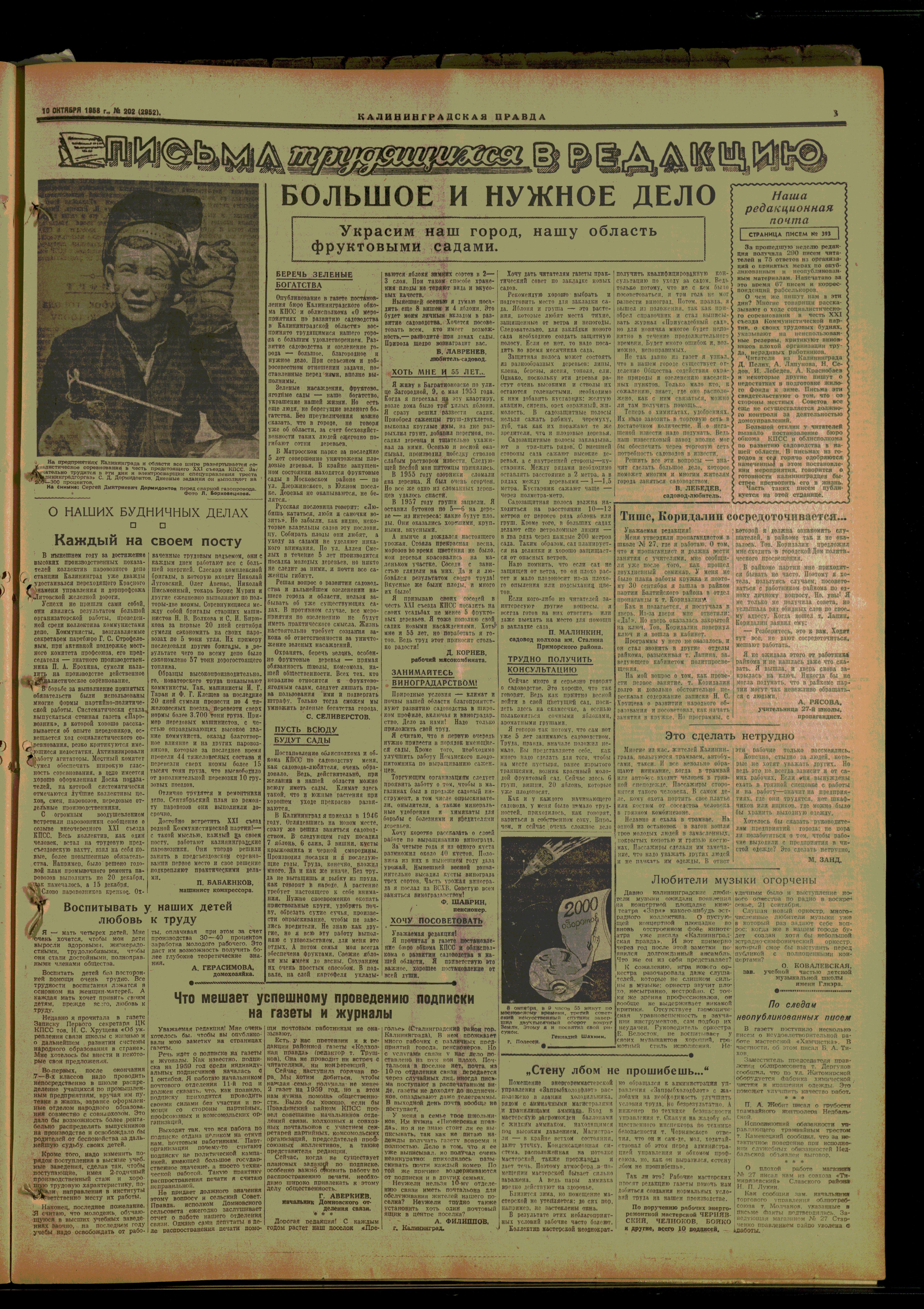 202-10-58-3