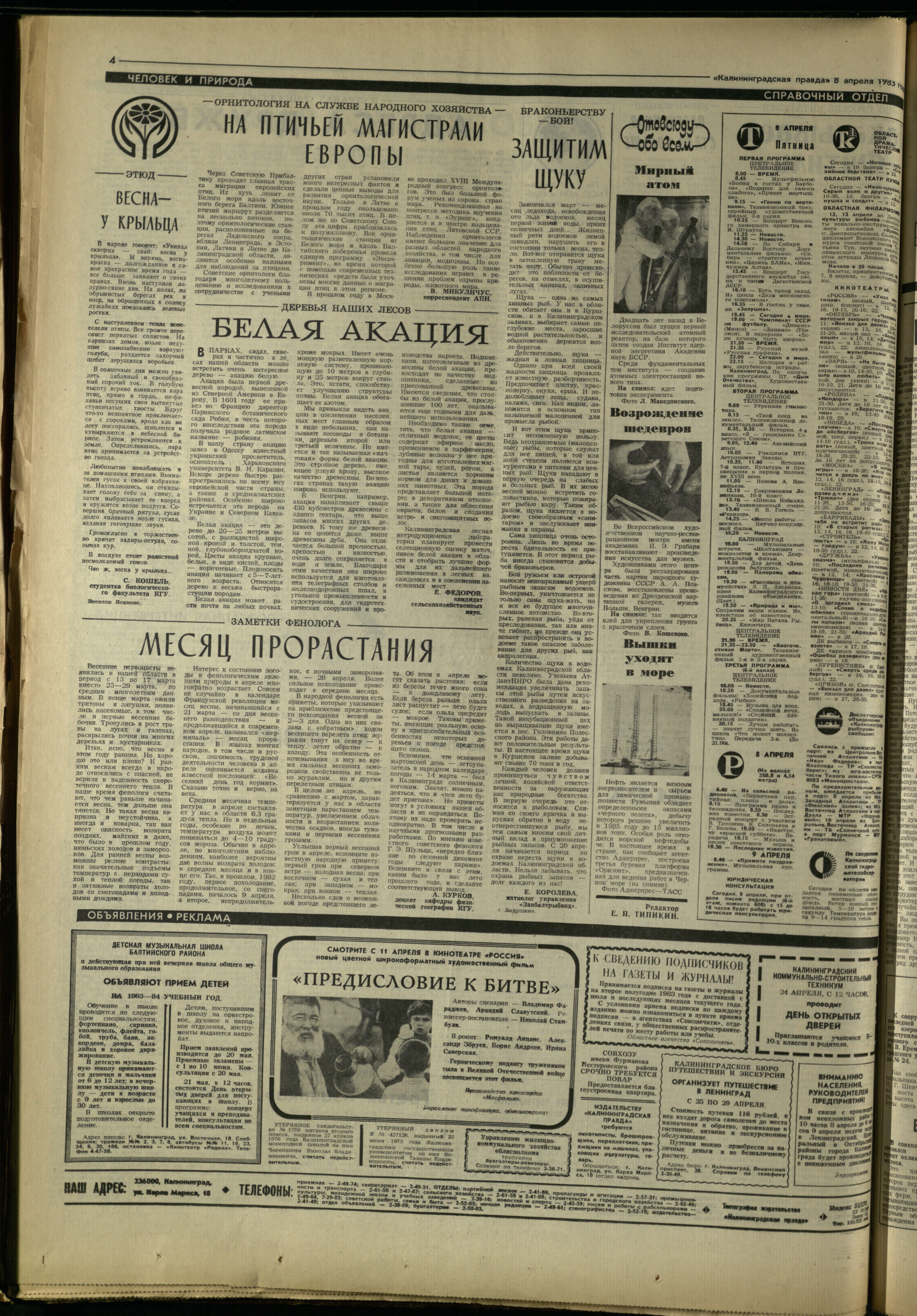 82-4-83-4