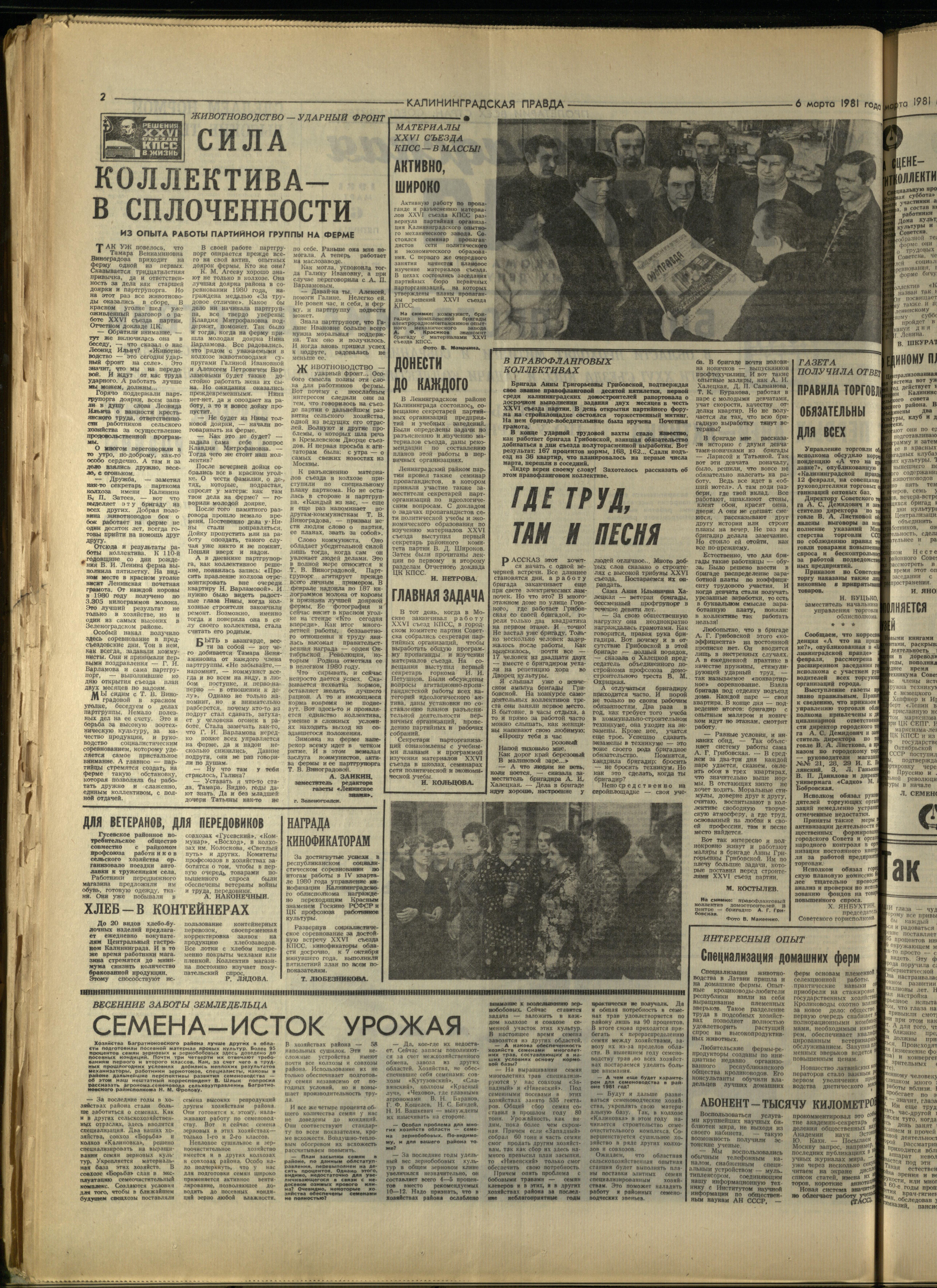 56-3-81-2