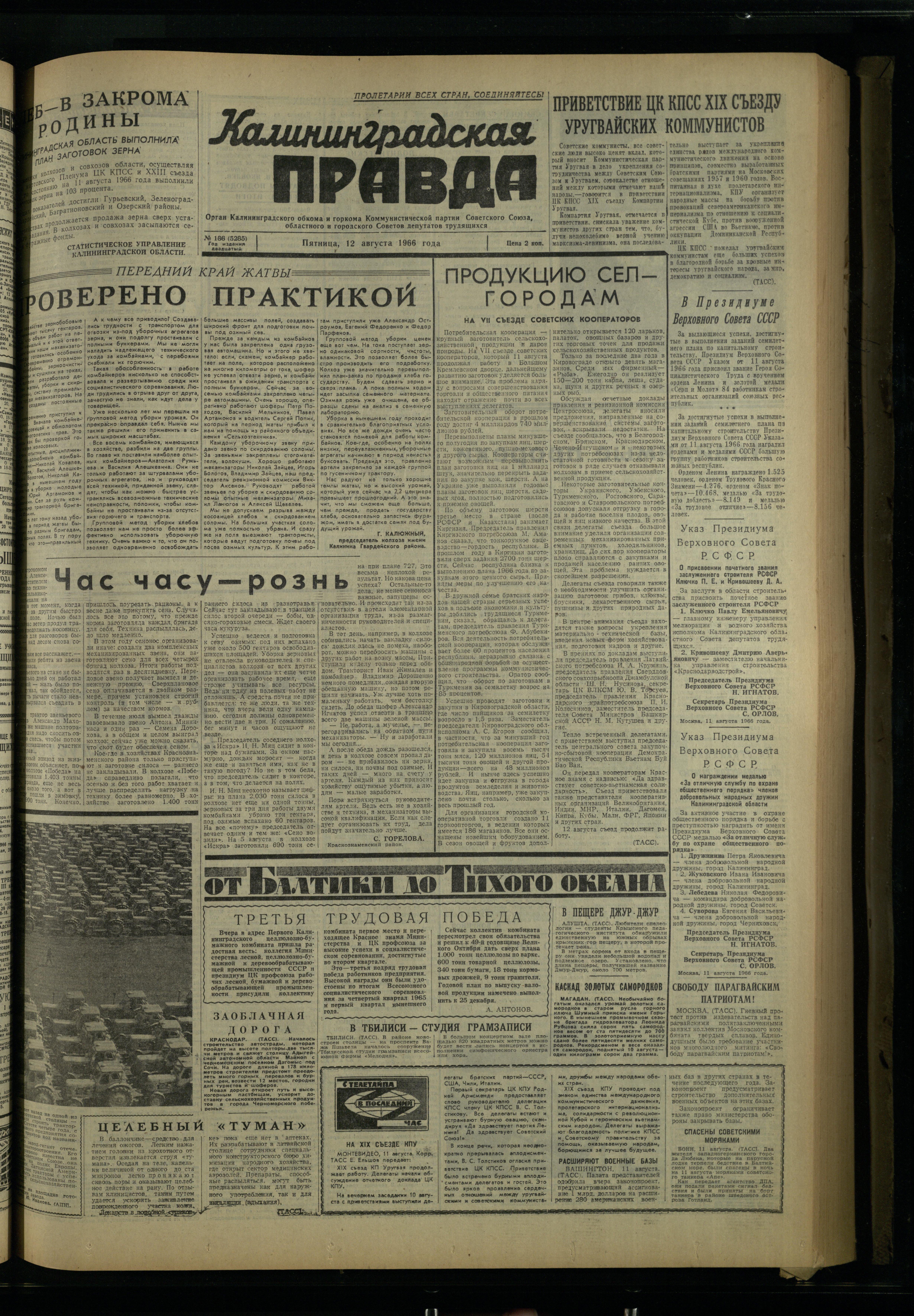 186-8-66-1