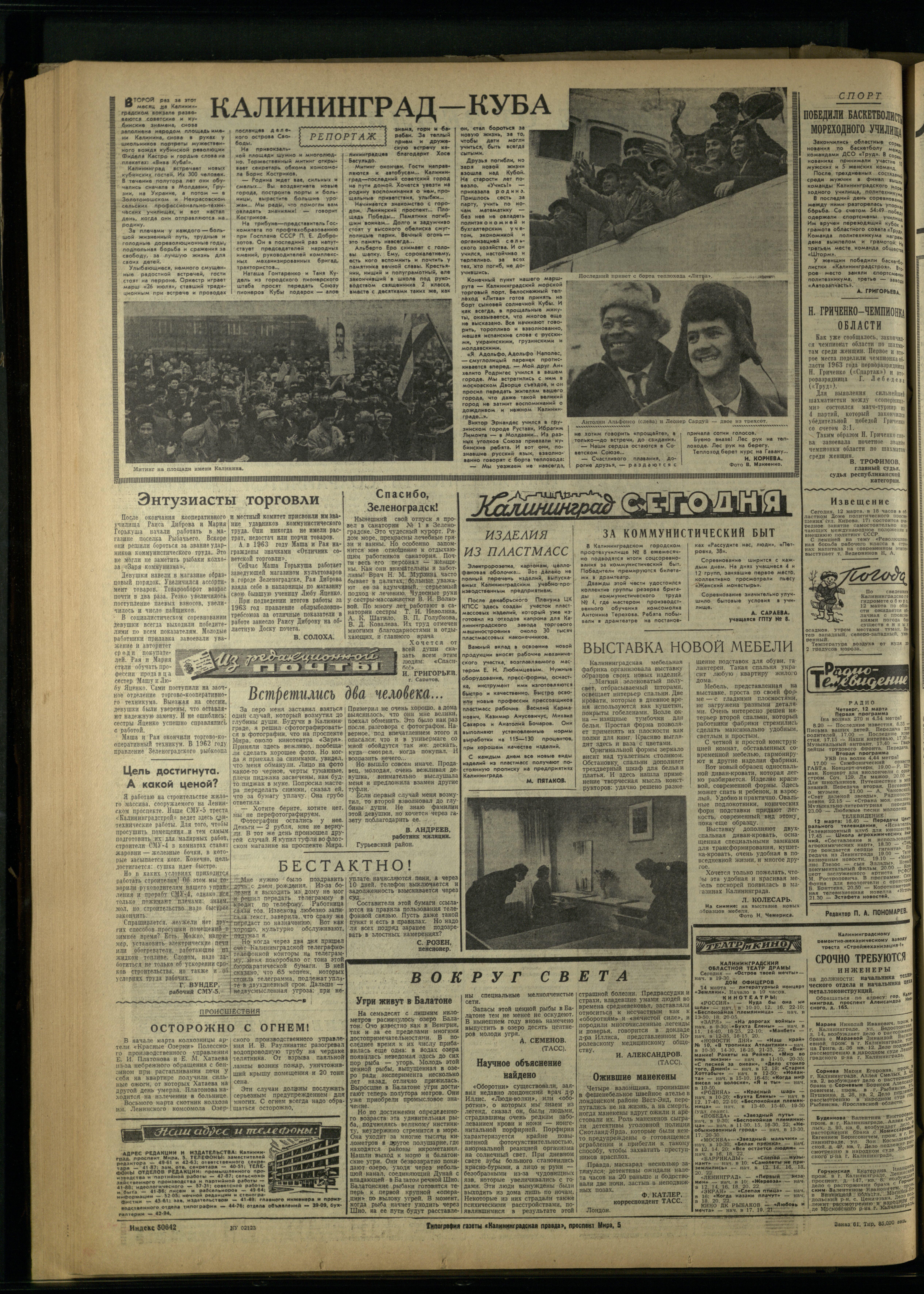 61-3-64-4