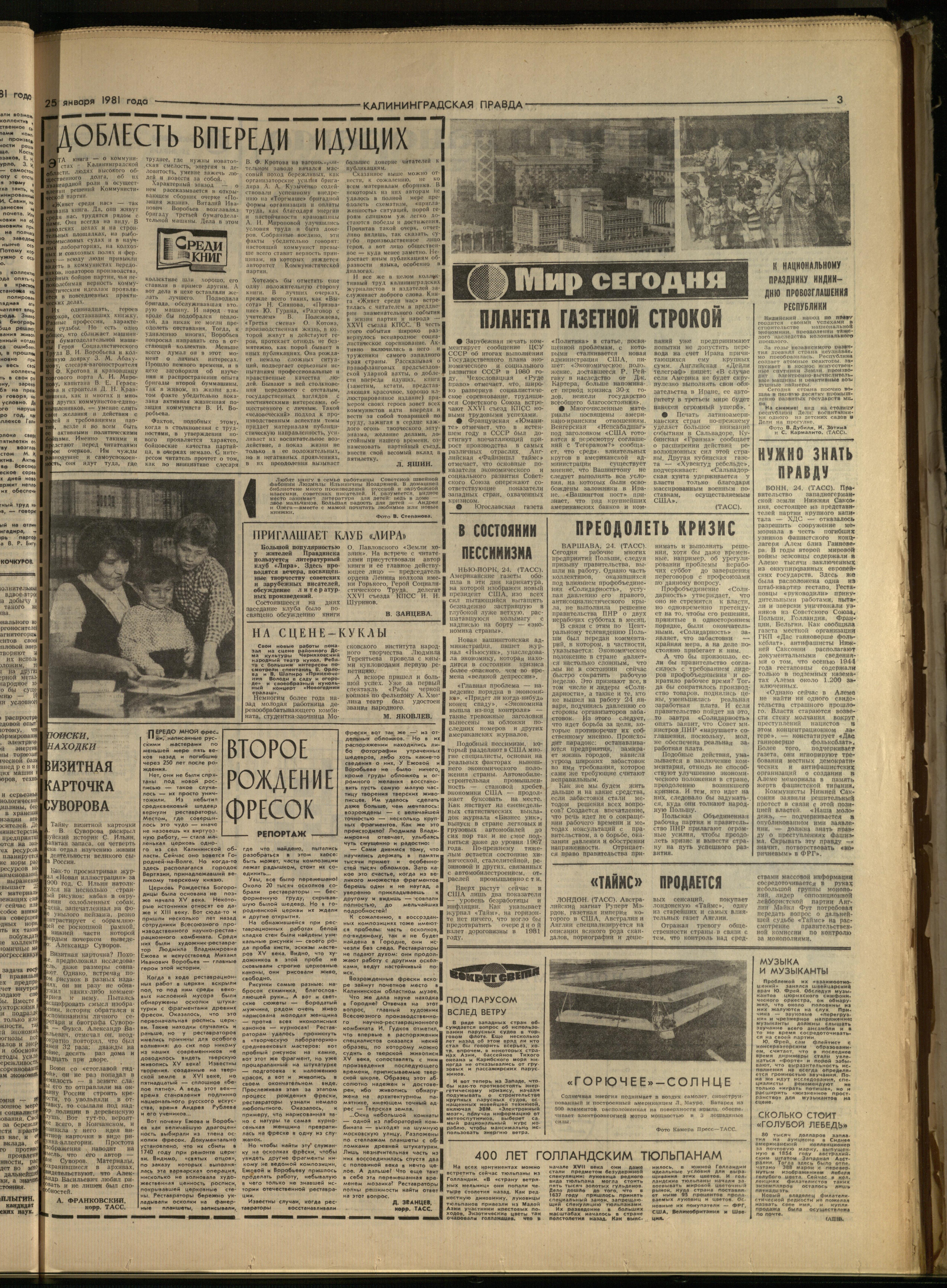 21-1-81-3
