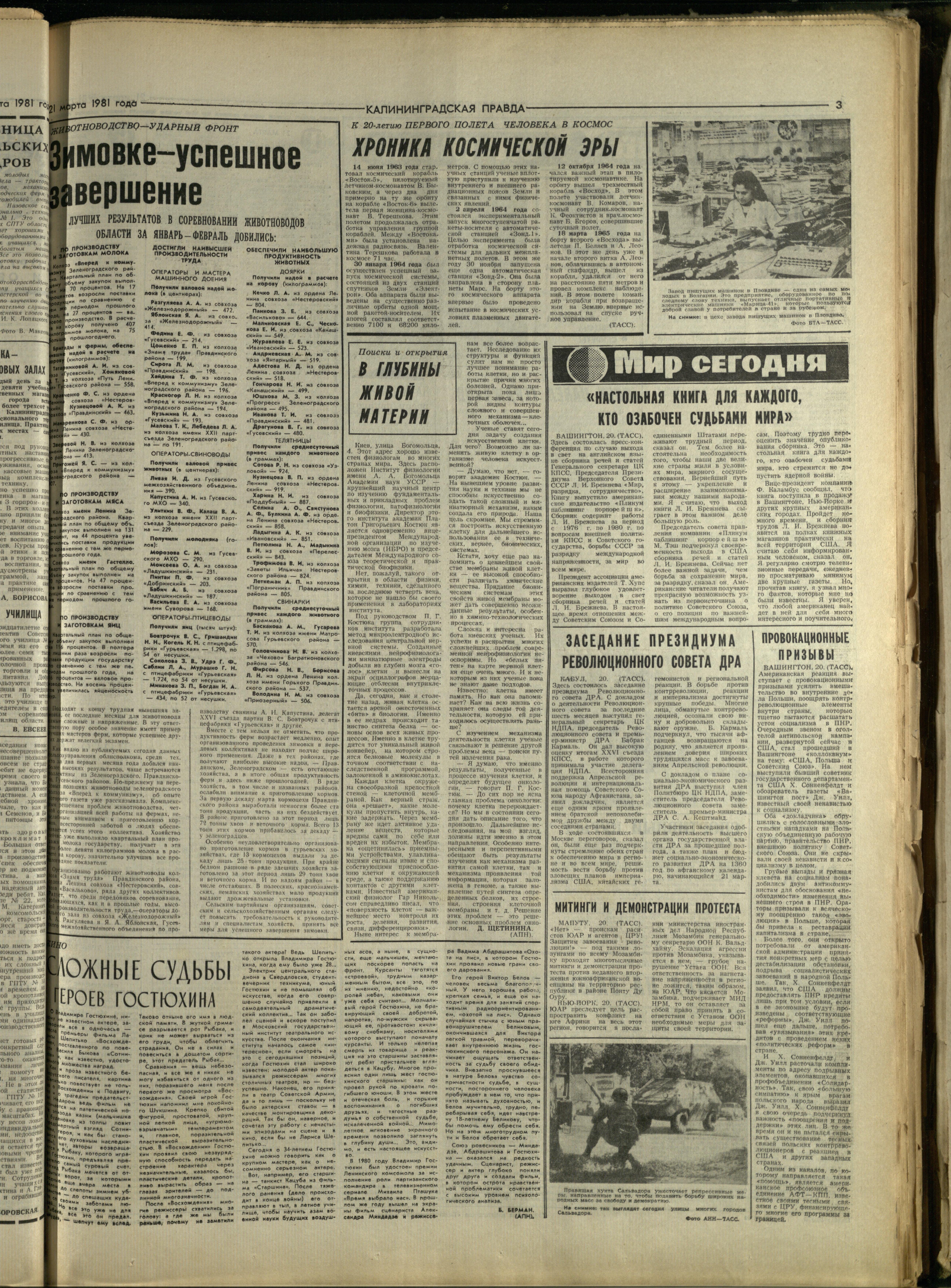 68-3-81-3
