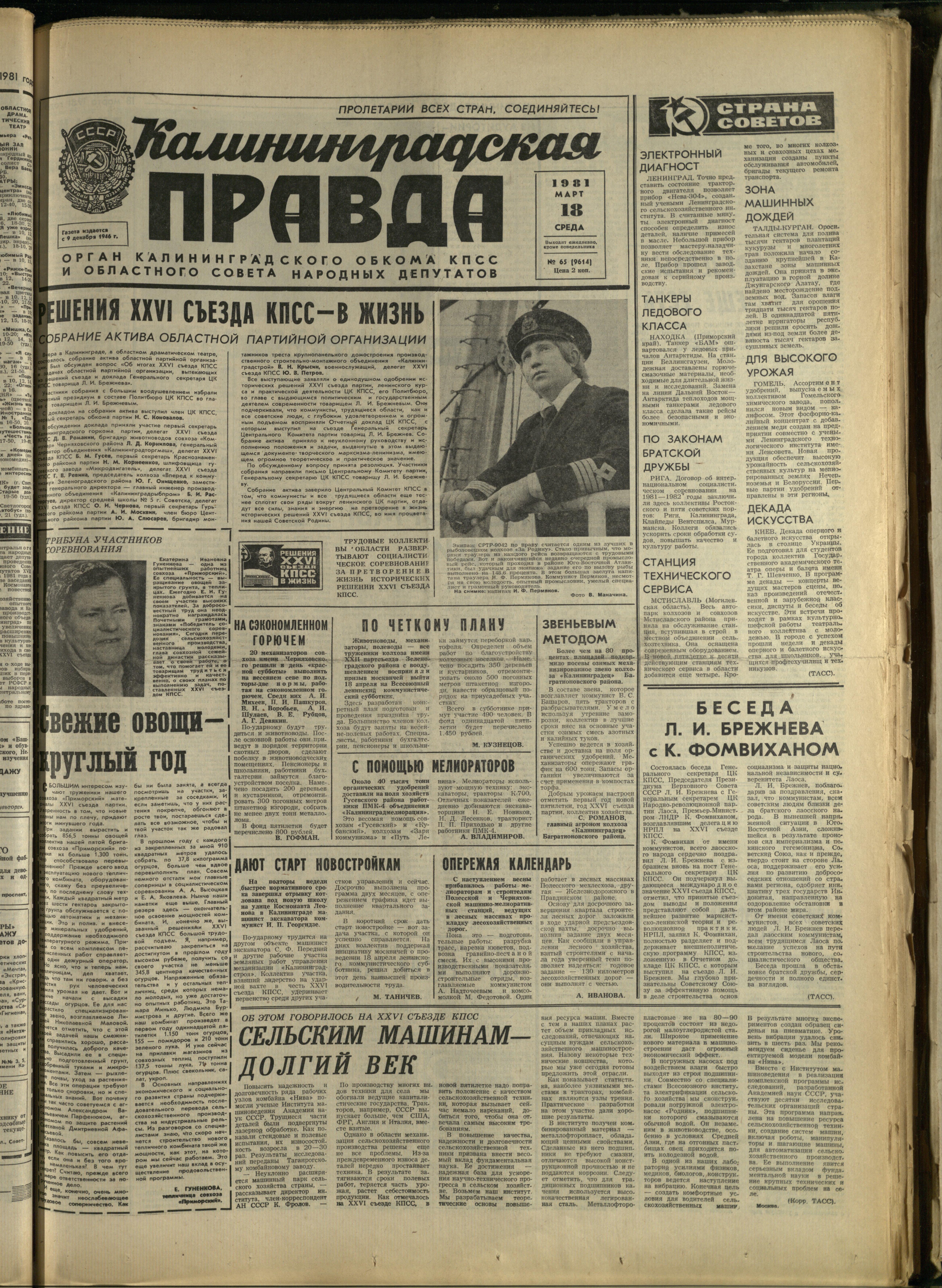 65-3-81-1