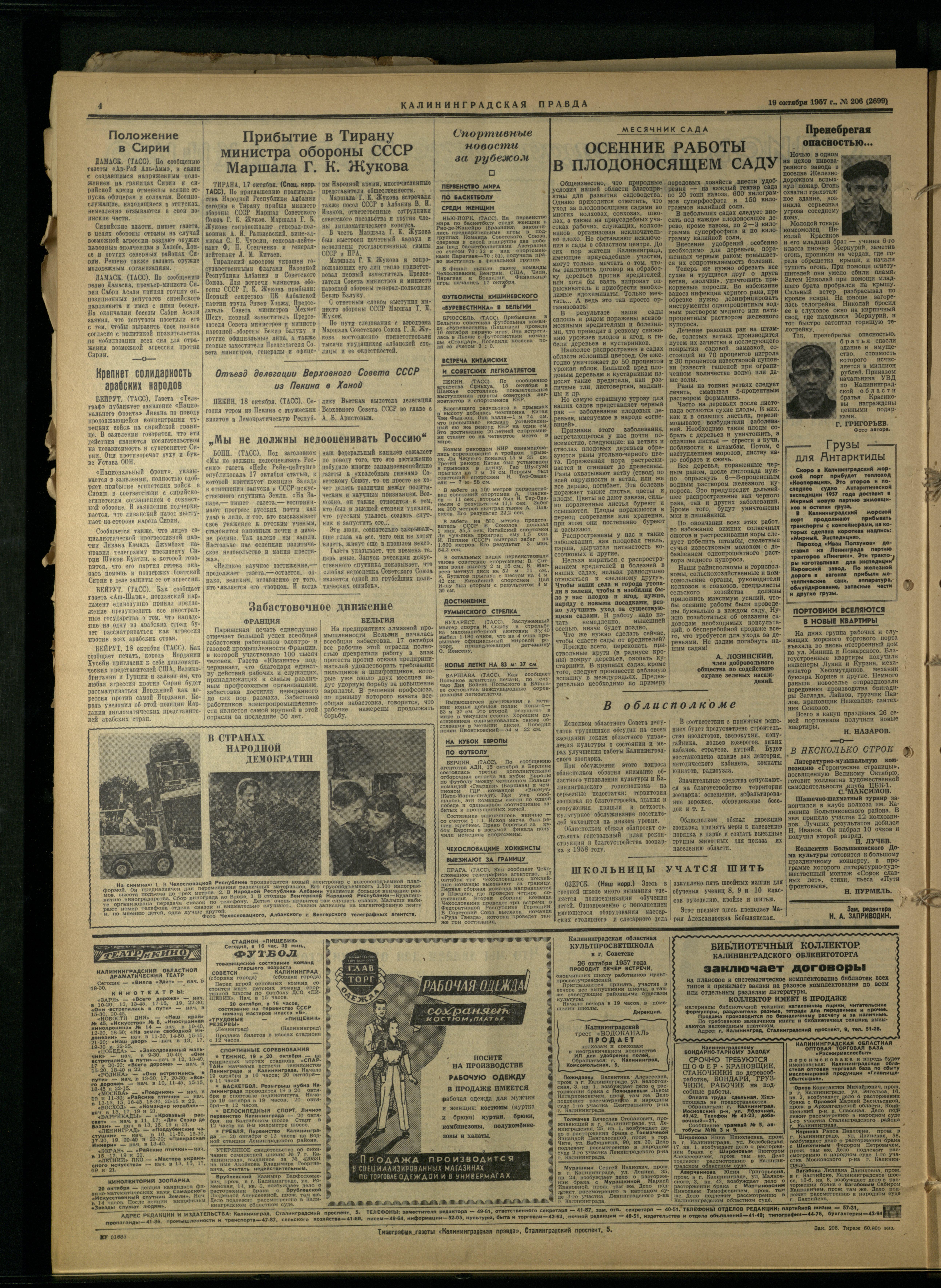 206-10-57-4