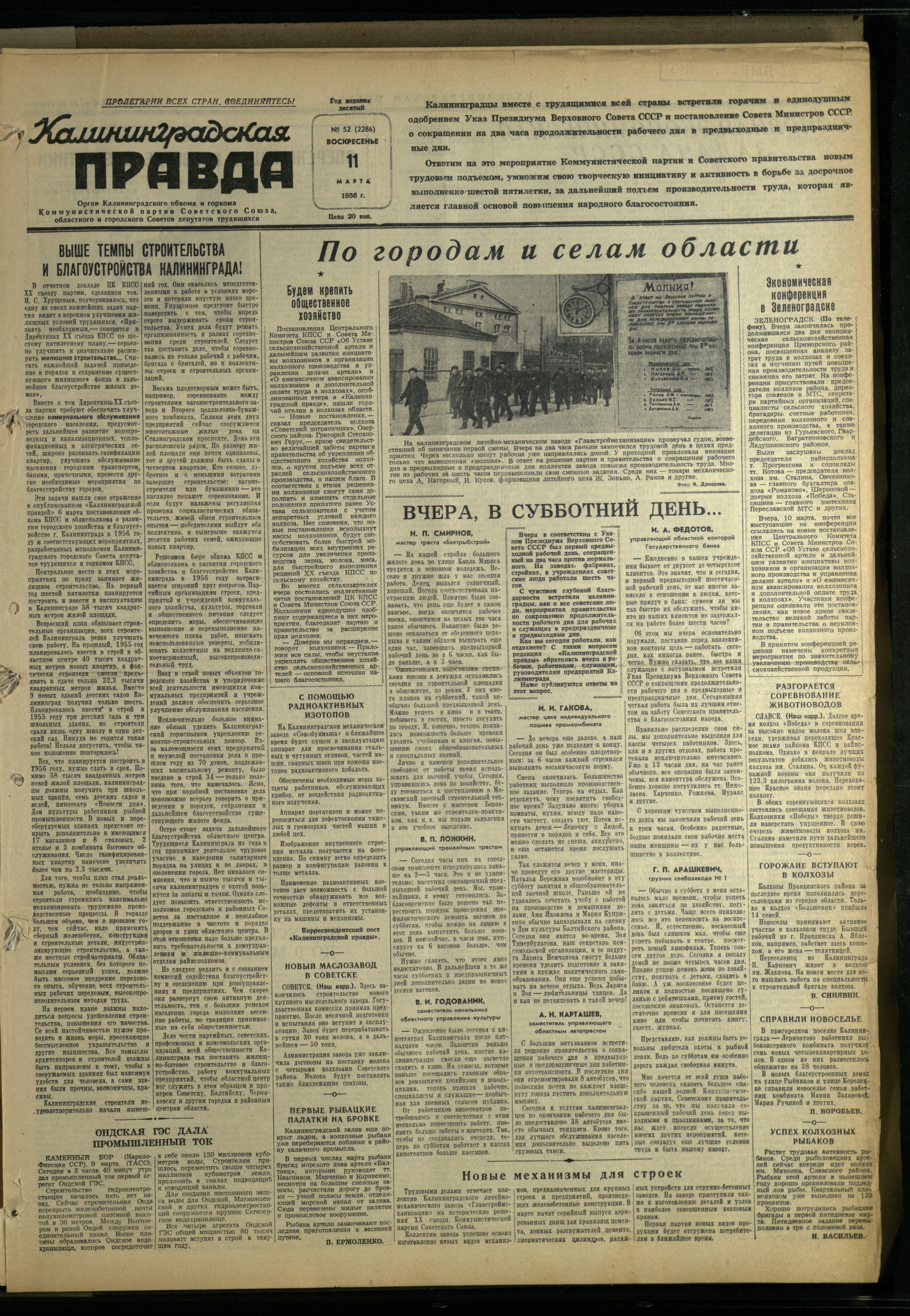 52-3-56-1