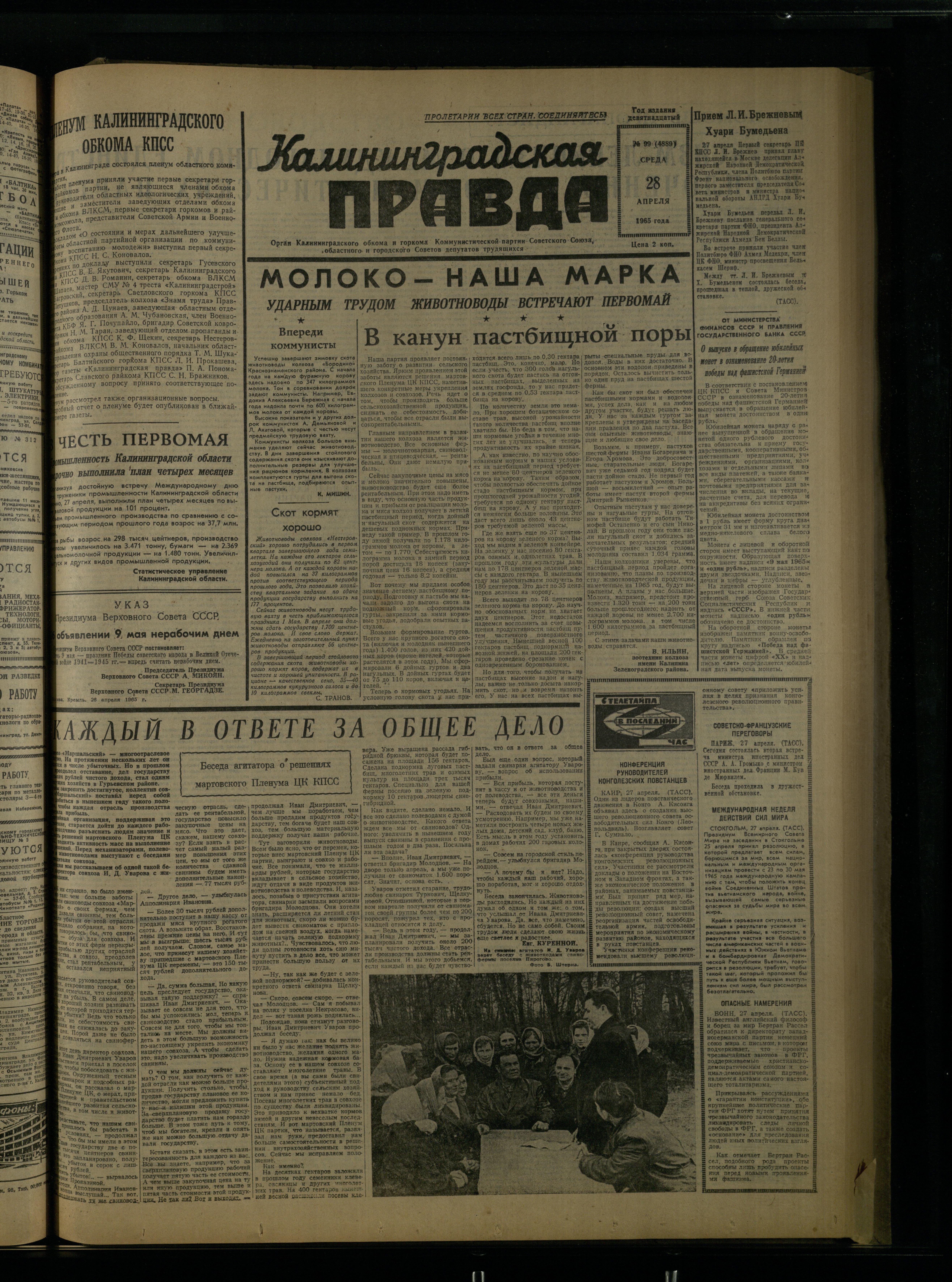 99-4-65-1
