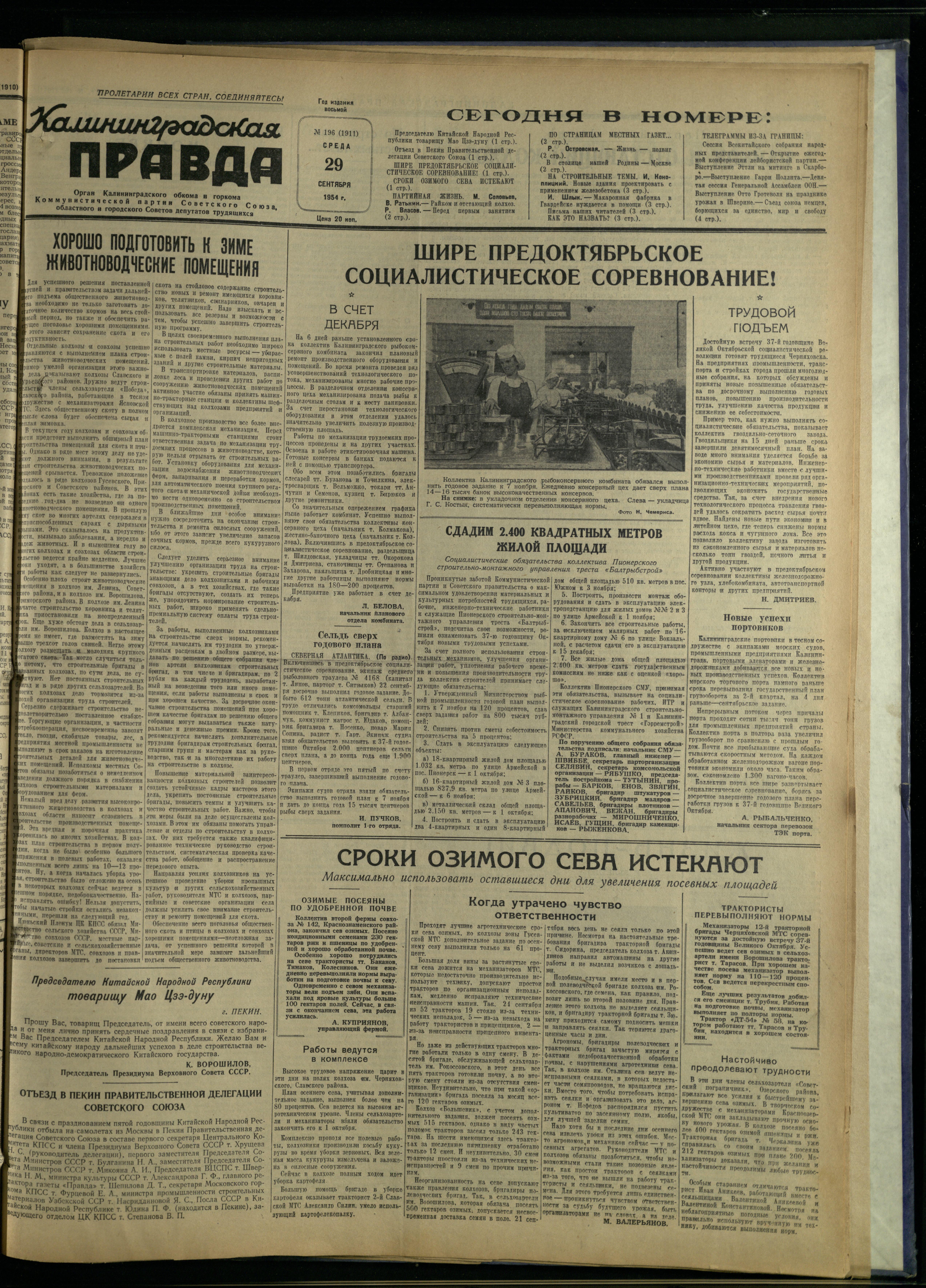 196-9-54-1