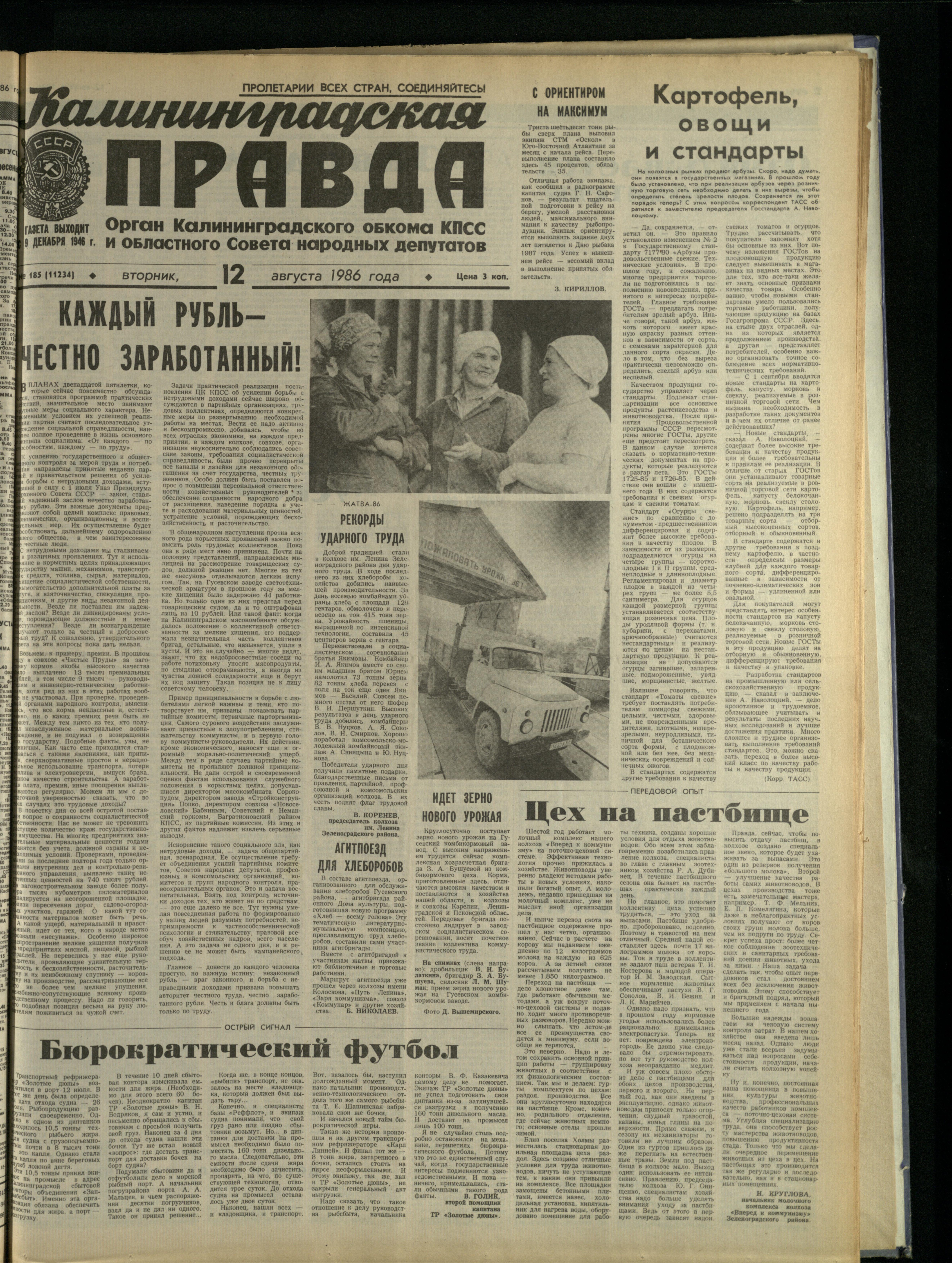 185-8-86-1