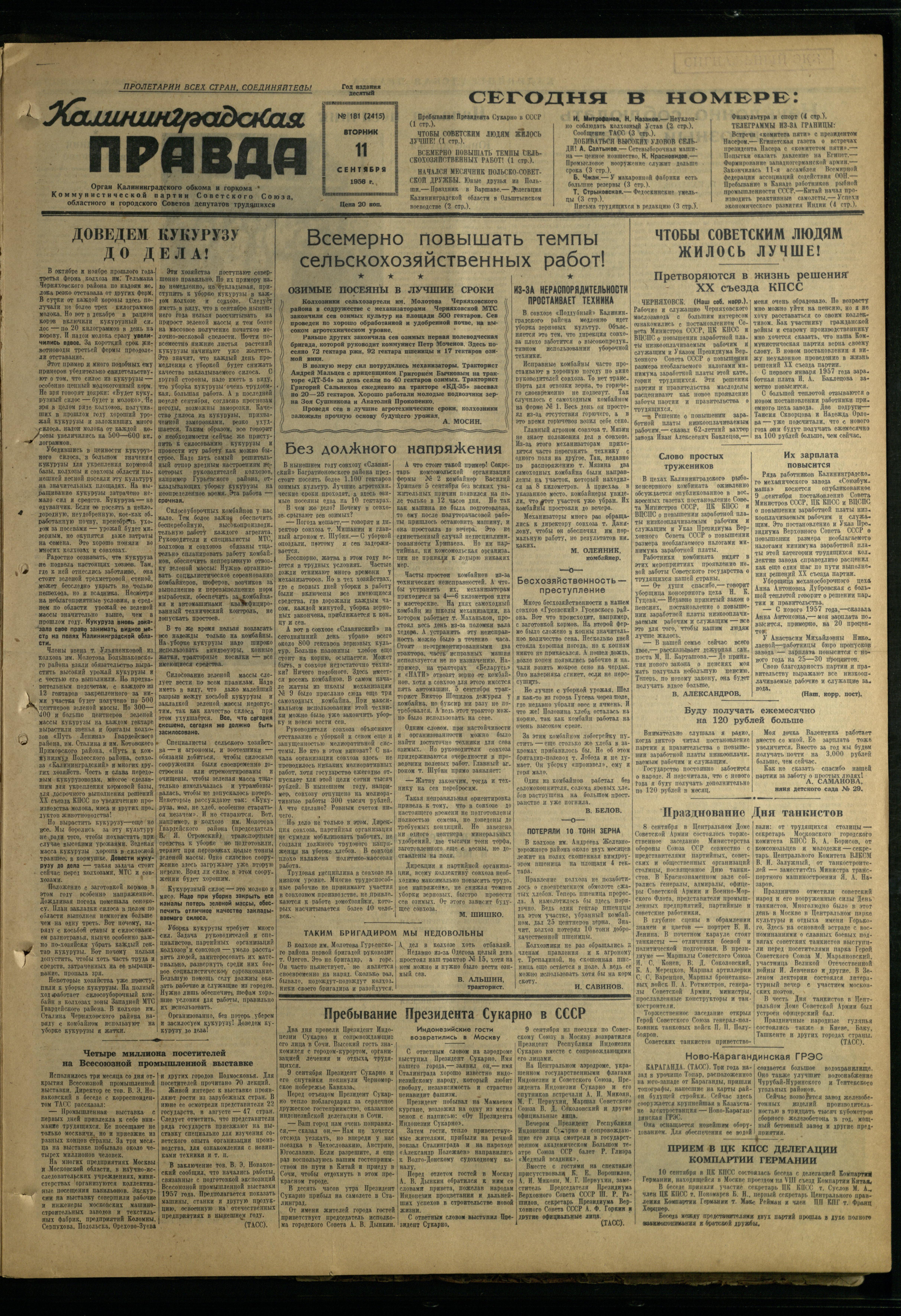 181-9-56-1