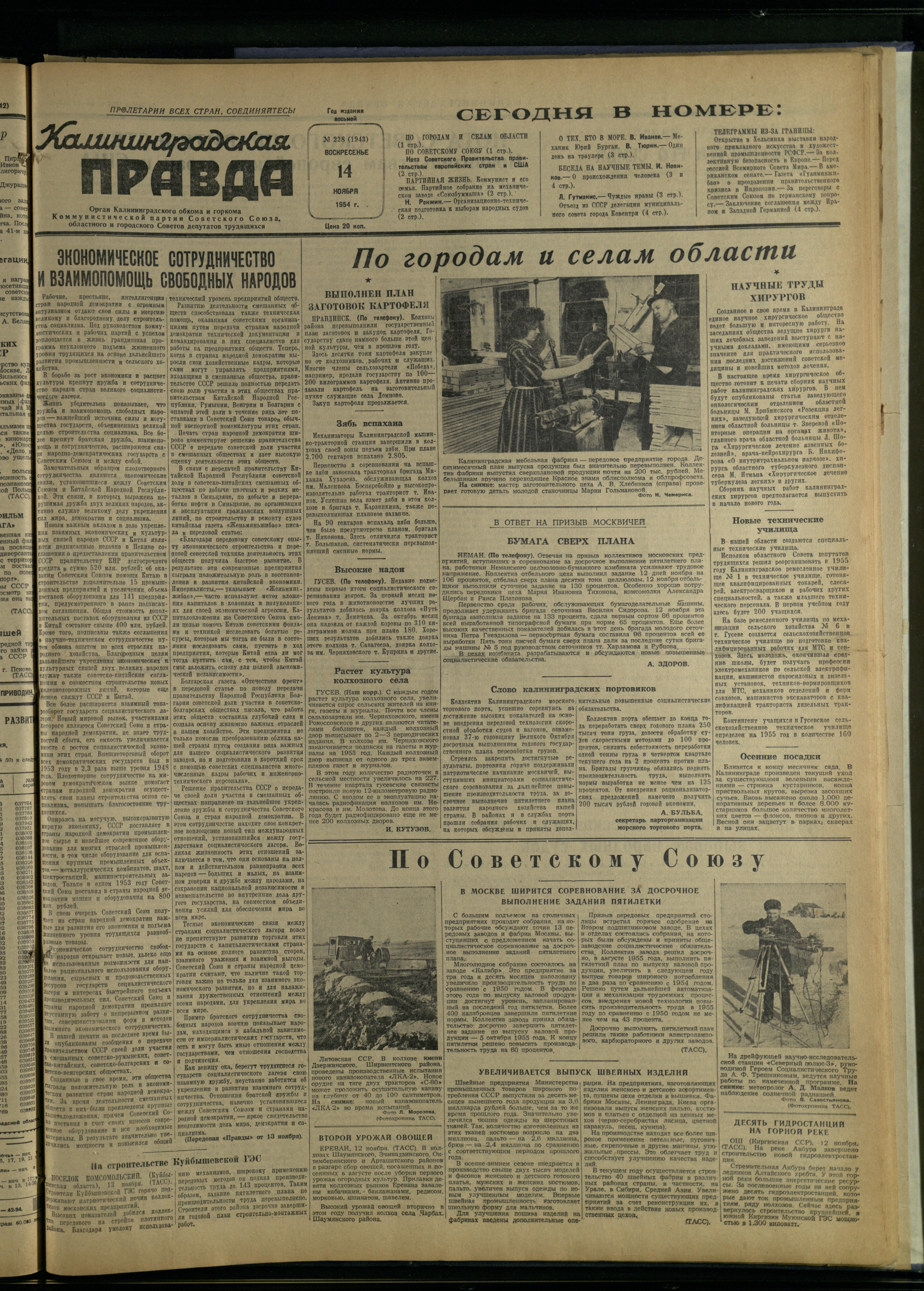 228-11-54-1