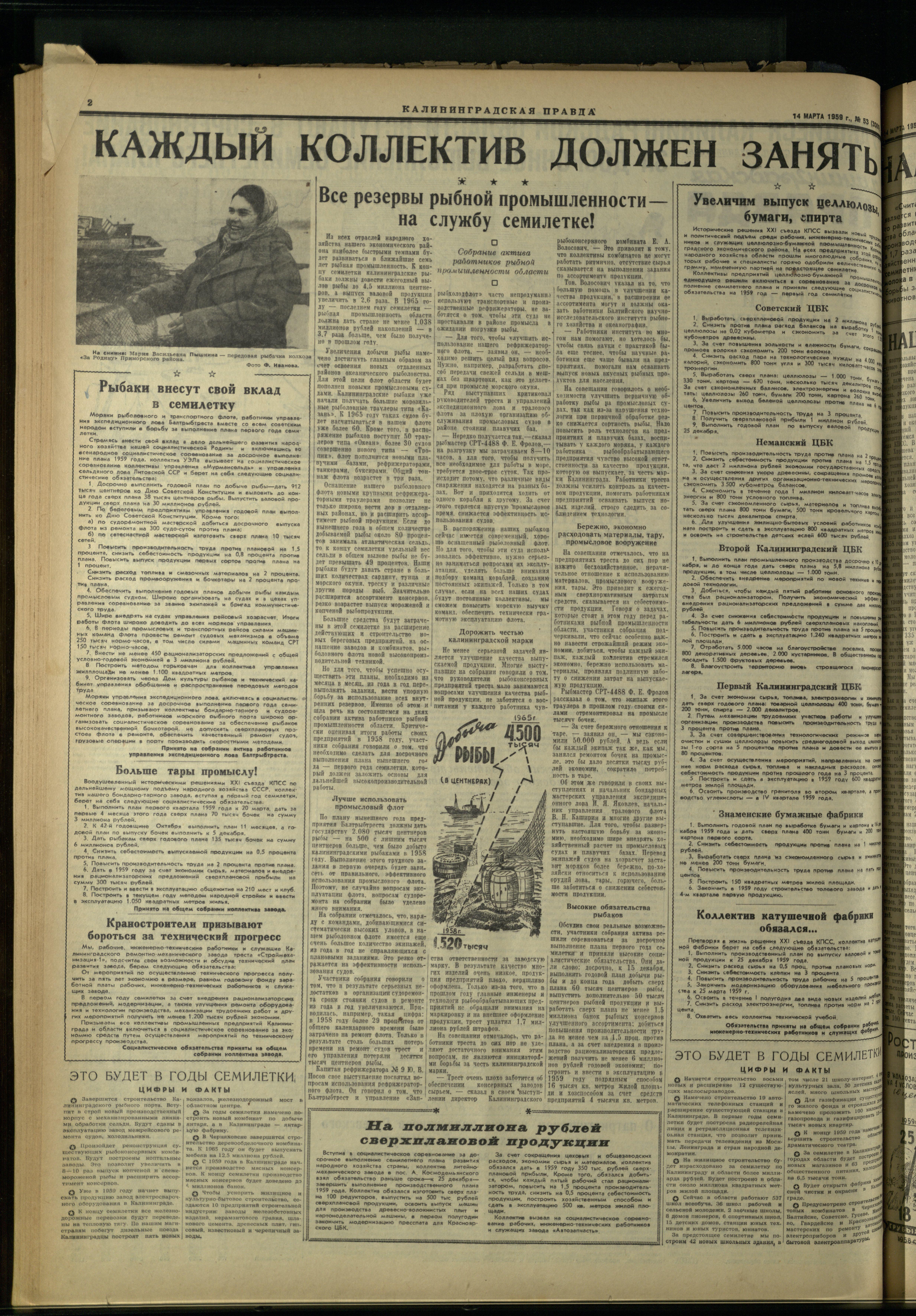 53-3-59-2
