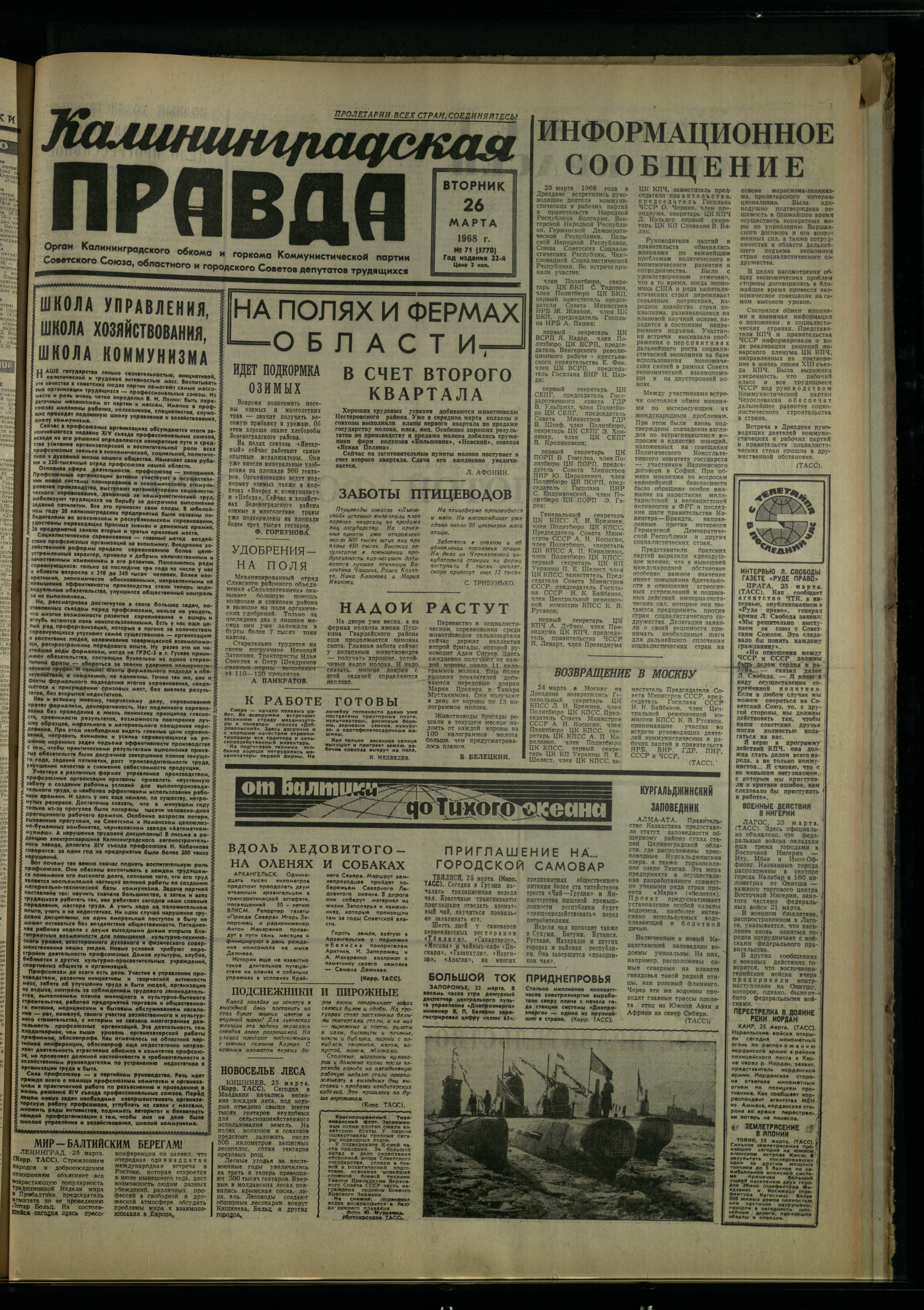 71-3-68-1