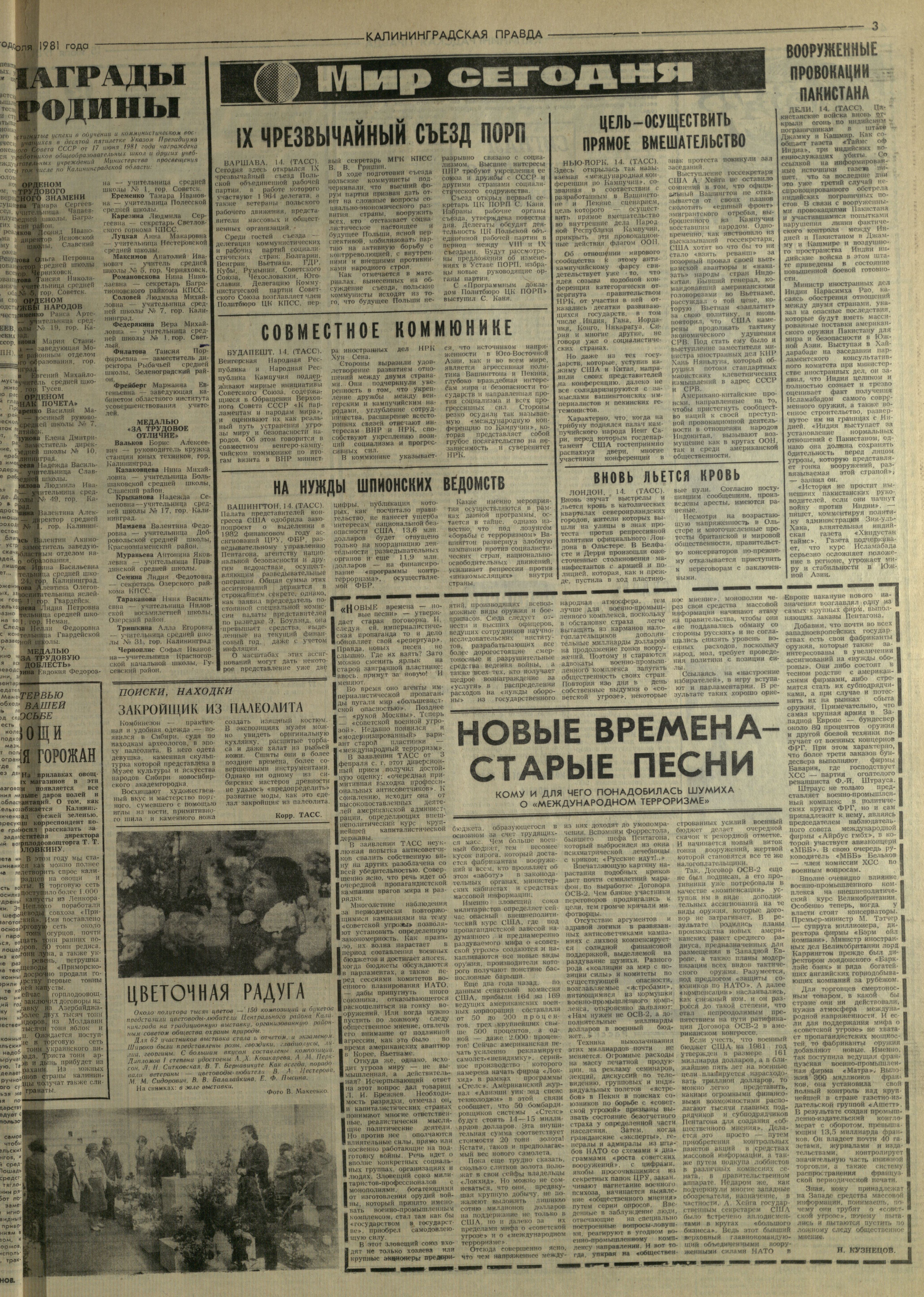 161-7-81-3